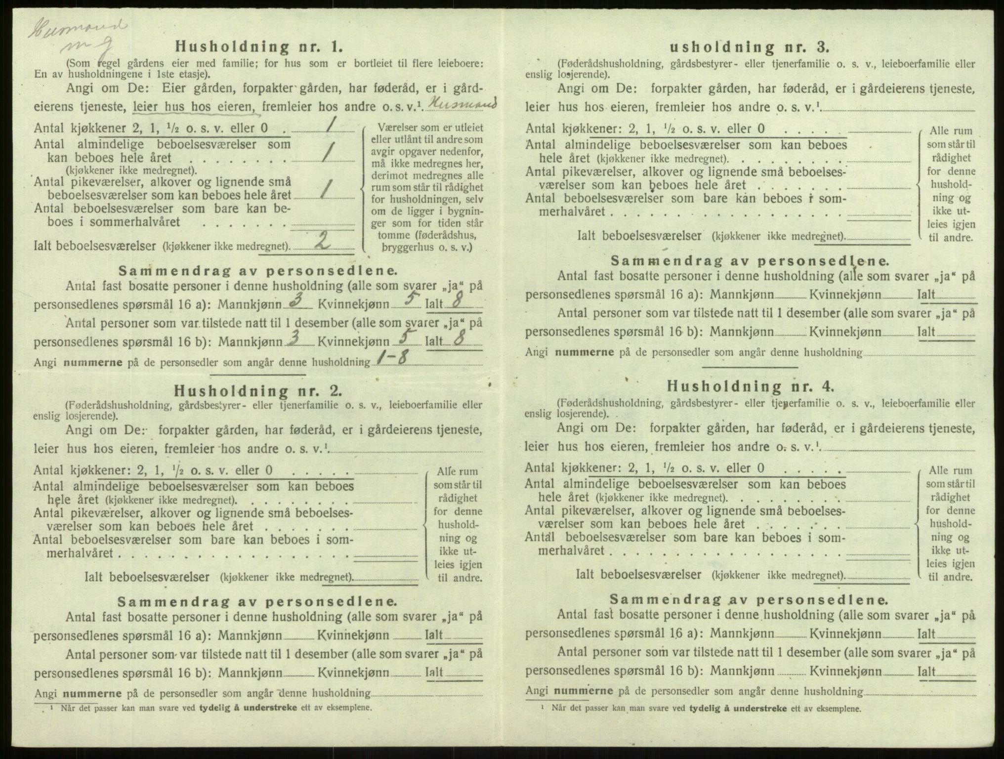 SAB, 1920 census for Årdal, 1920, p. 373