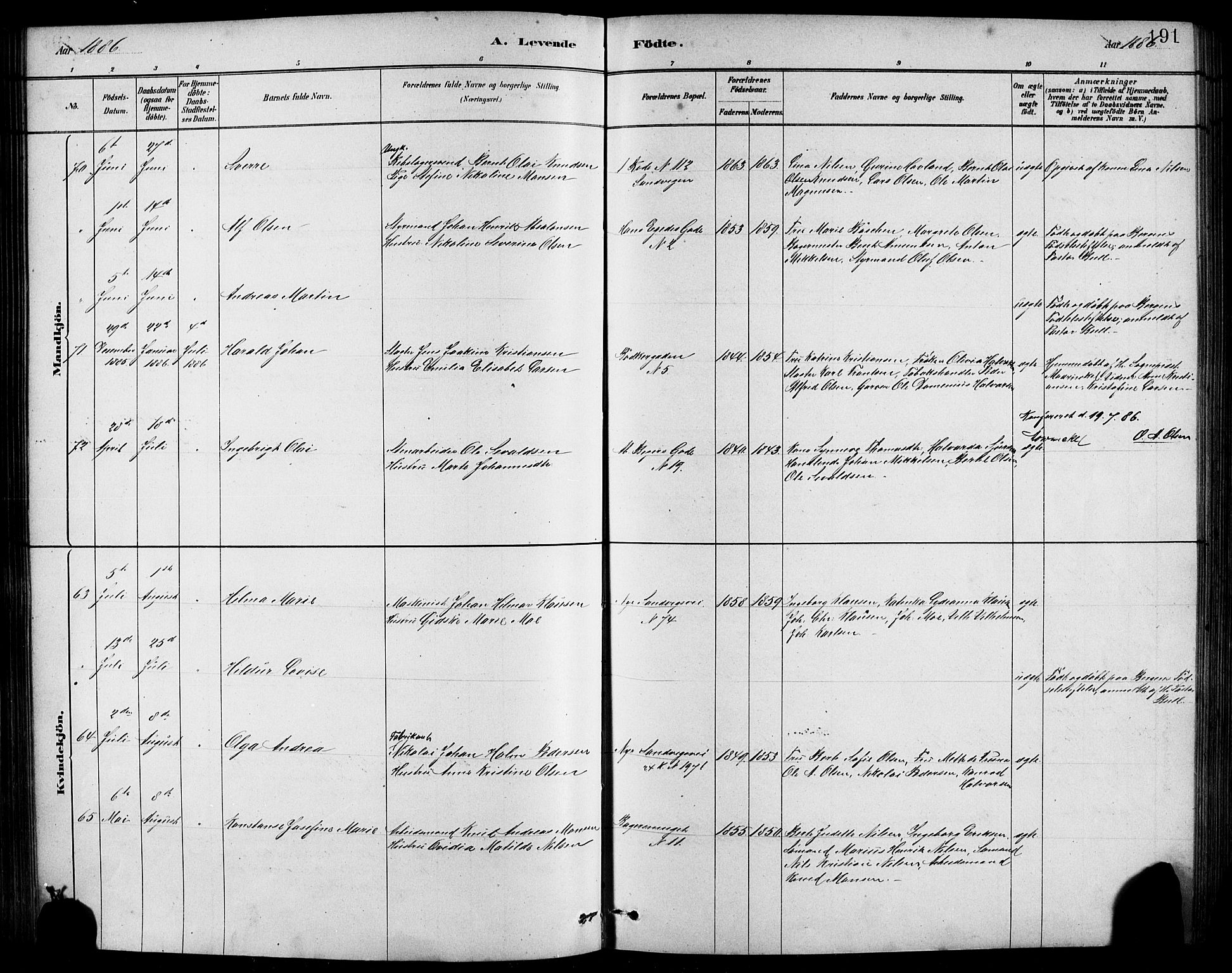 Sandviken Sokneprestembete, AV/SAB-A-77601/H/Hb/L0001: Parish register (copy) no. A 2, 1879-1892, p. 191