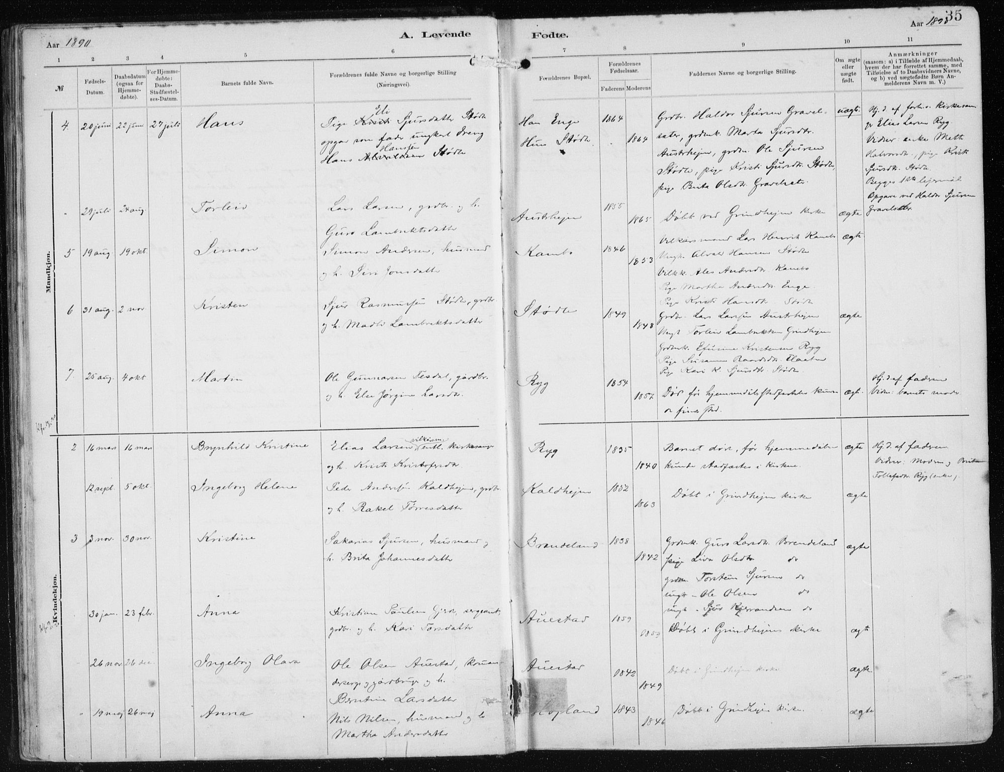 Etne sokneprestembete, SAB/A-75001/H/Haa: Parish register (official) no. B  1, 1879-1919, p. 35