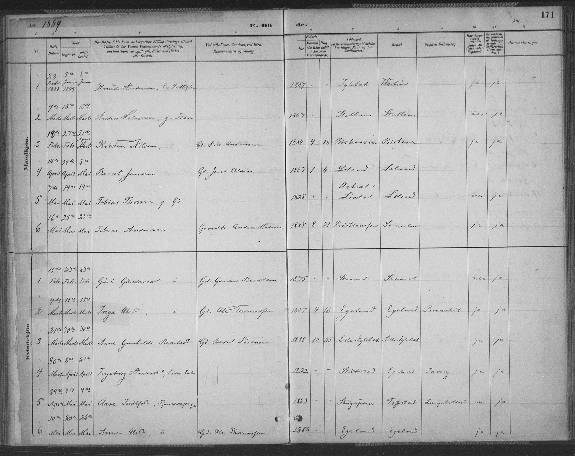 Vennesla sokneprestkontor, SAK/1111-0045/Fa/Fac/L0009: Parish register (official) no. A 9, 1884-1901, p. 171