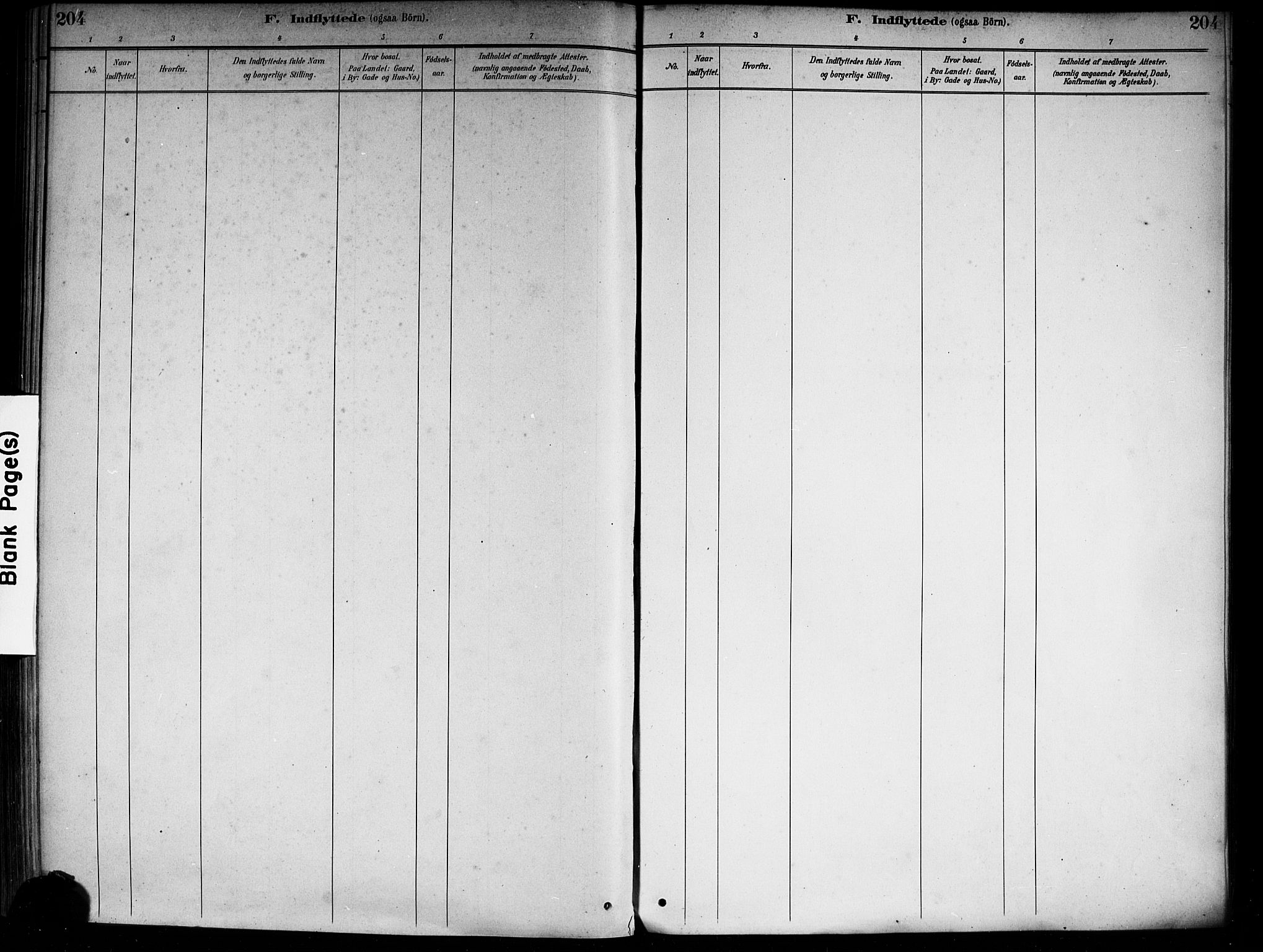 Nedre Eiker kirkebøker, AV/SAKO-A-612/F/Fa/L0003: Parish register (official) no. 3, 1885-1892, p. 204