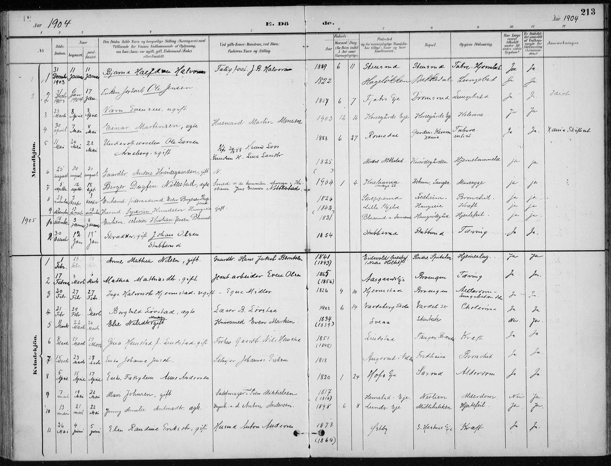 Stange prestekontor, SAH/PREST-002/K/L0023: Parish register (official) no. 23, 1897-1920, p. 213