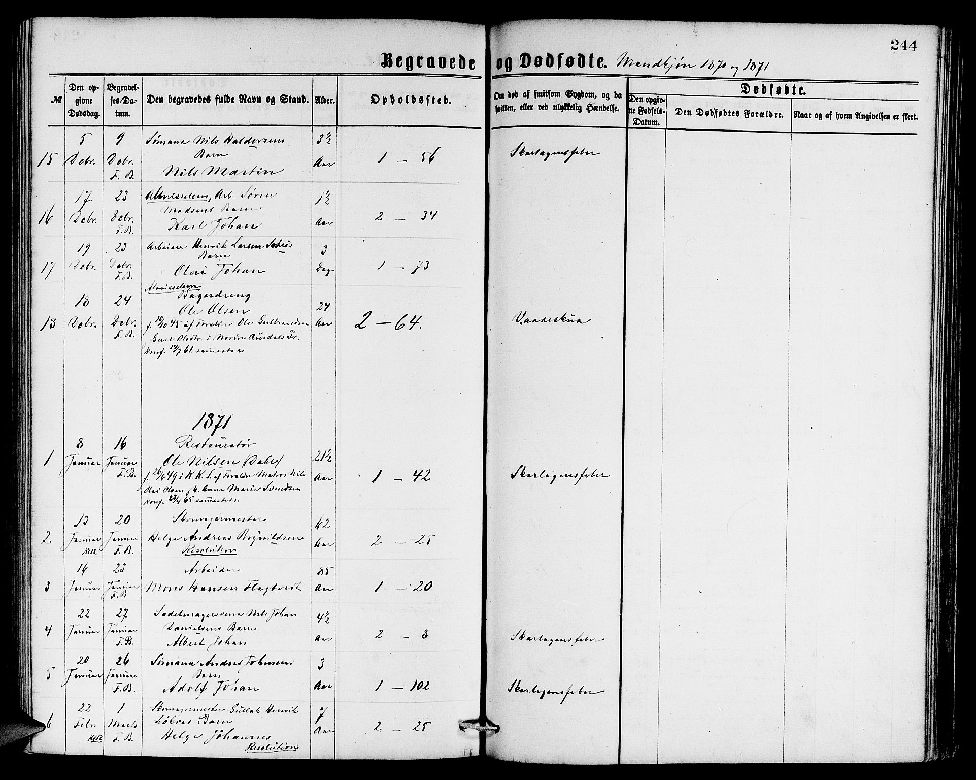 Sandviken Sokneprestembete, SAB/A-77601/H/Hb: Parish register (copy) no. A 1, 1867-1879, p. 244