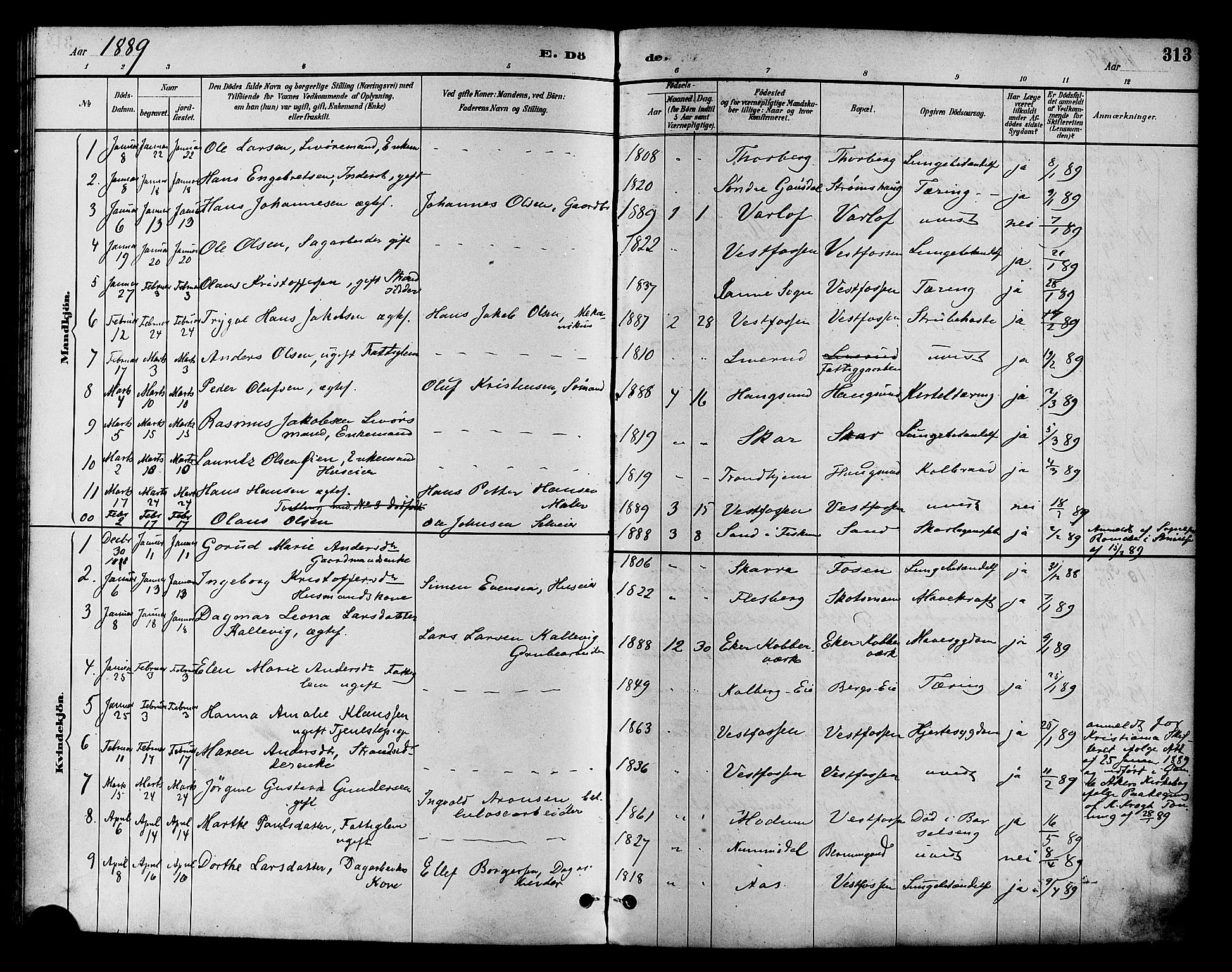 Eiker kirkebøker, SAKO/A-4/F/Fb/L0002: Parish register (official) no. II 2, 1889-1896, p. 313