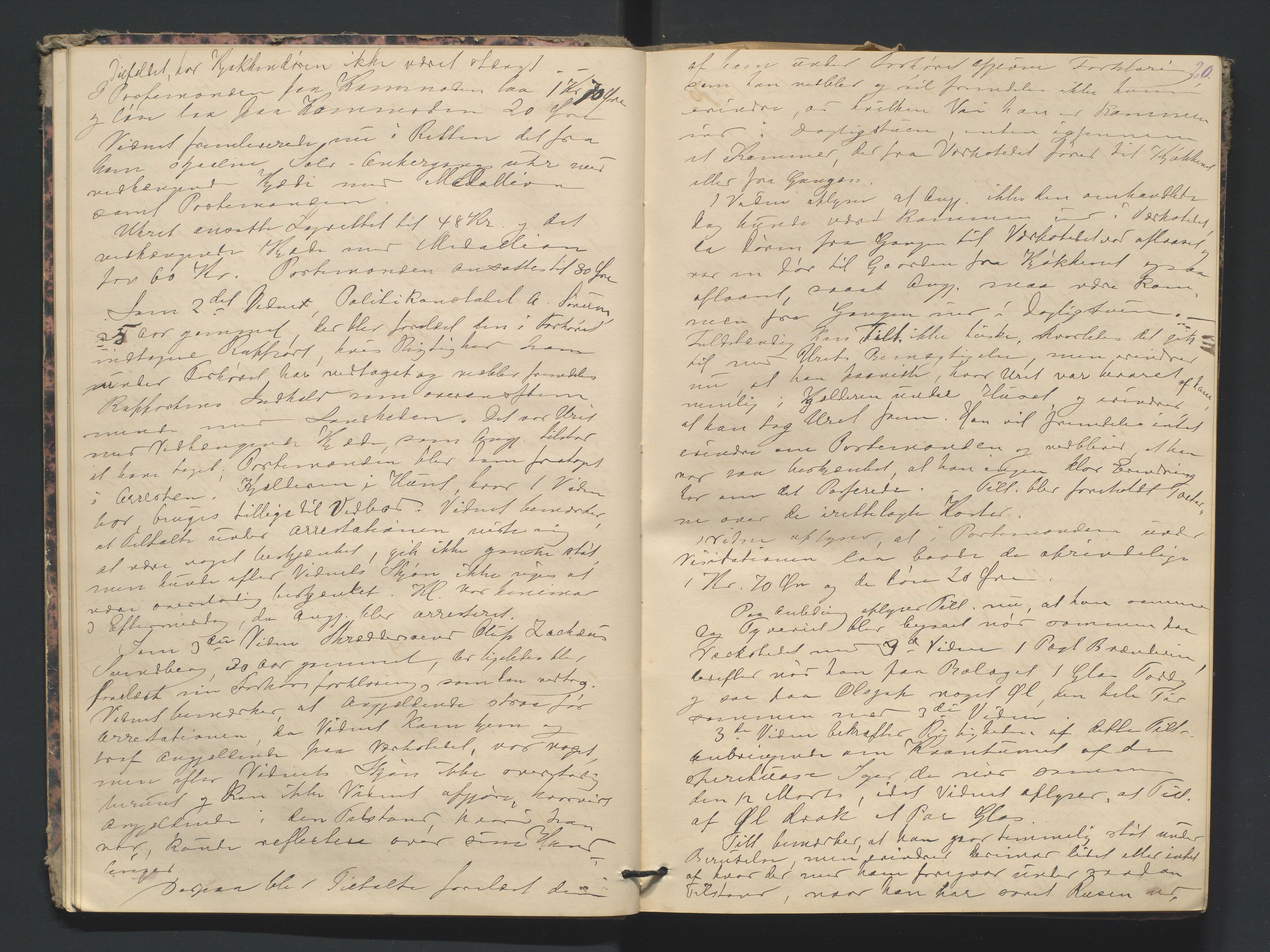 Risør byfogd, AV/SAK-1222-0005/F/Fa/L0004: Justisprotokoll nr. 4, 1877-1880, p. 19b-20a