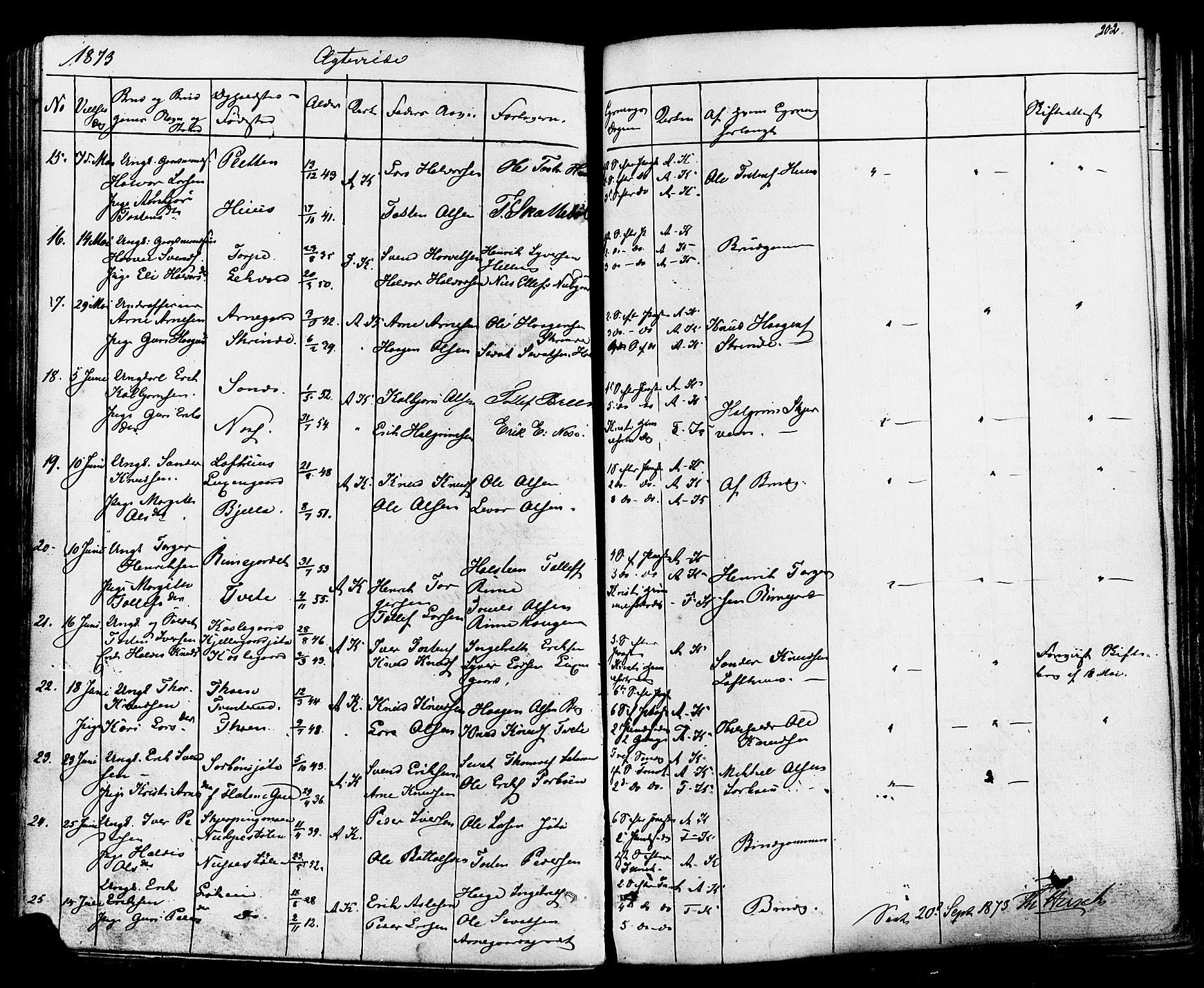 Ål kirkebøker, AV/SAKO-A-249/F/Fa/L0007: Parish register (official) no. I 7, 1865-1881, p. 202