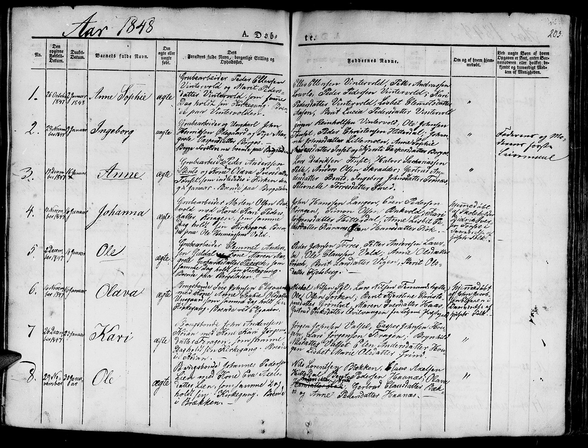 Ministerialprotokoller, klokkerbøker og fødselsregistre - Sør-Trøndelag, SAT/A-1456/681/L0938: Parish register (copy) no. 681C02, 1829-1879, p. 203