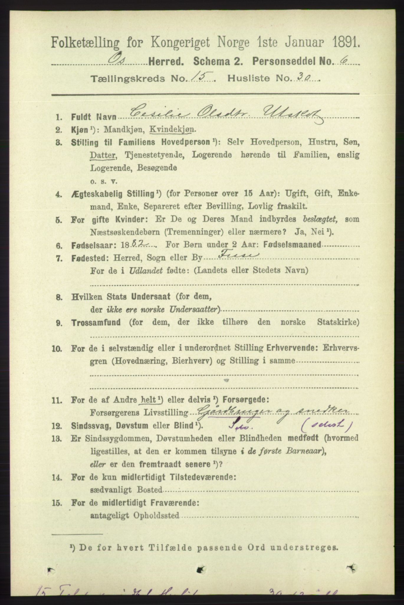 RA, 1891 census for 1243 Os, 1891, p. 3294