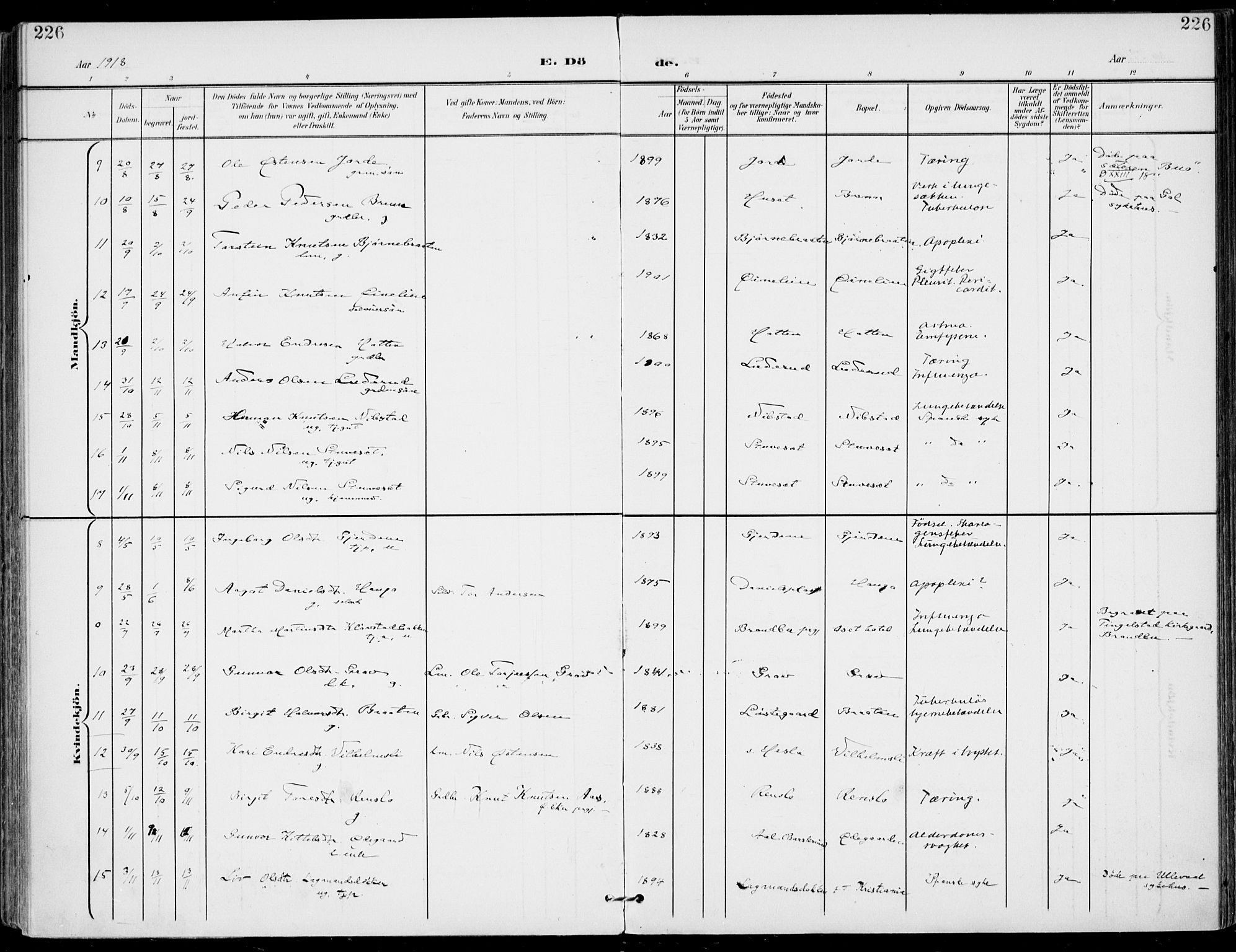 Gol kirkebøker, SAKO/A-226/F/Fa/L0006: Parish register (official) no. I 6, 1901-1918, p. 226
