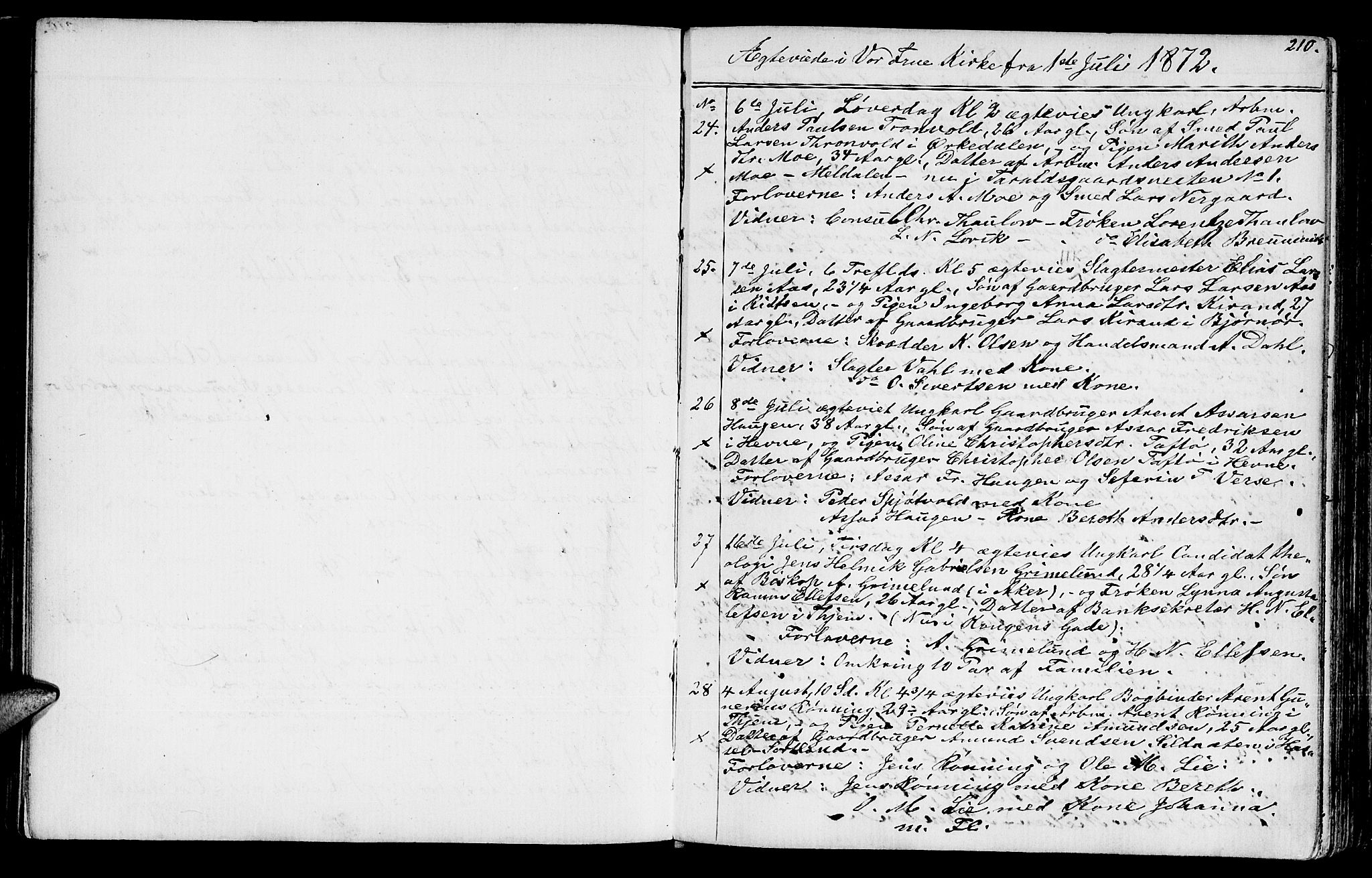 Ministerialprotokoller, klokkerbøker og fødselsregistre - Sør-Trøndelag, SAT/A-1456/602/L0142: Parish register (copy) no. 602C10, 1872-1894, p. 210