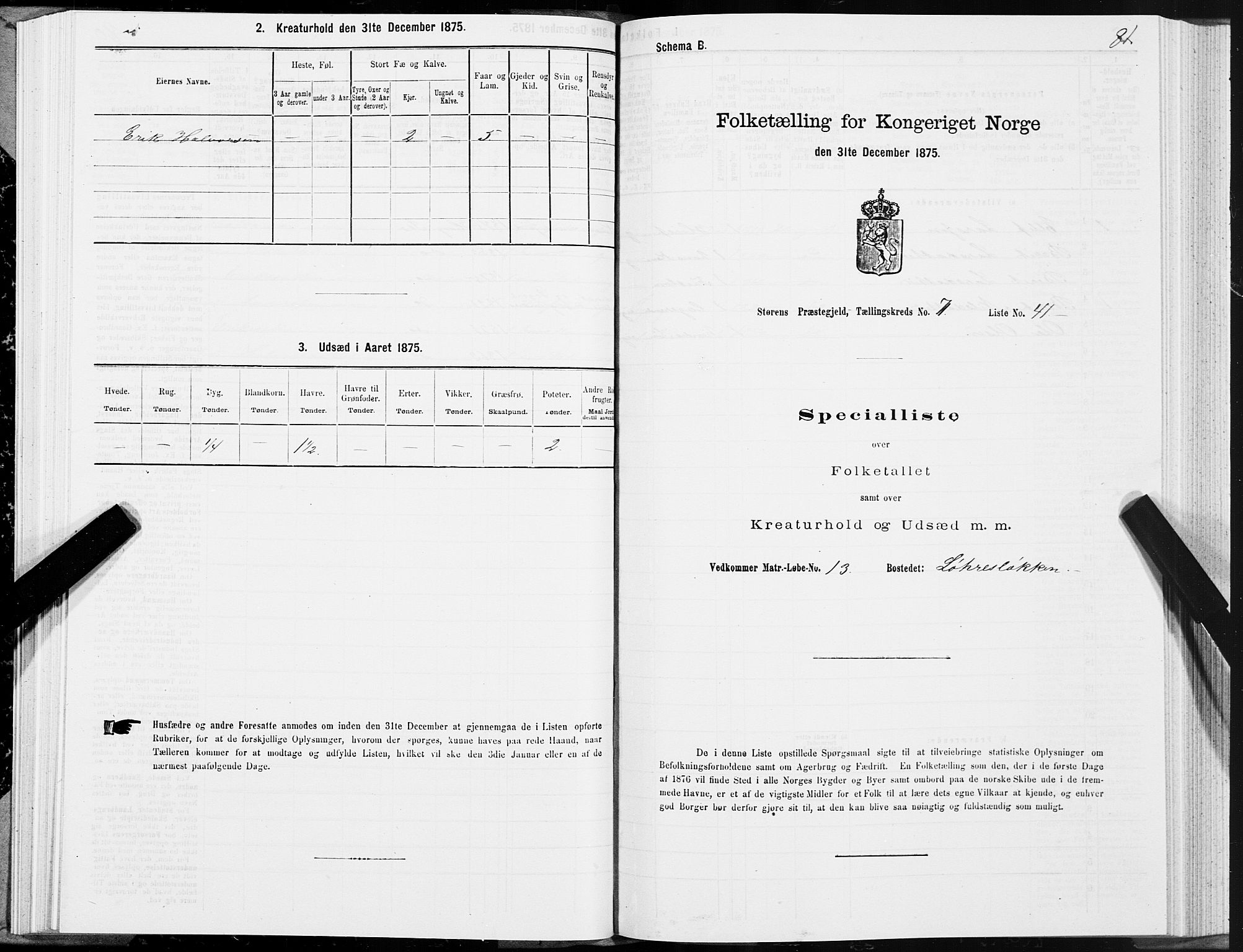 SAT, 1875 census for 1648P Støren, 1875, p. 4081