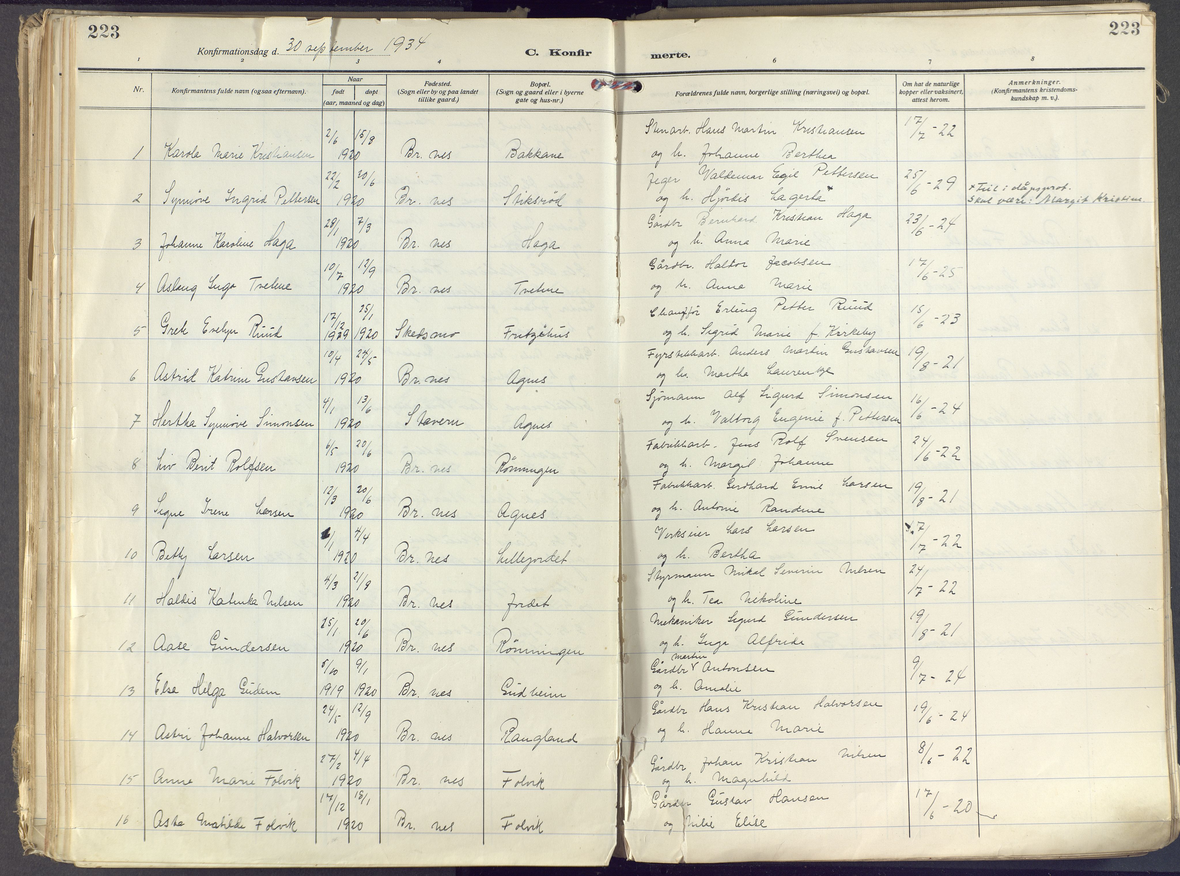 Brunlanes kirkebøker, SAKO/A-342/F/Fc/L0004: Parish register (official) no. III 4, 1923-1943, p. 223