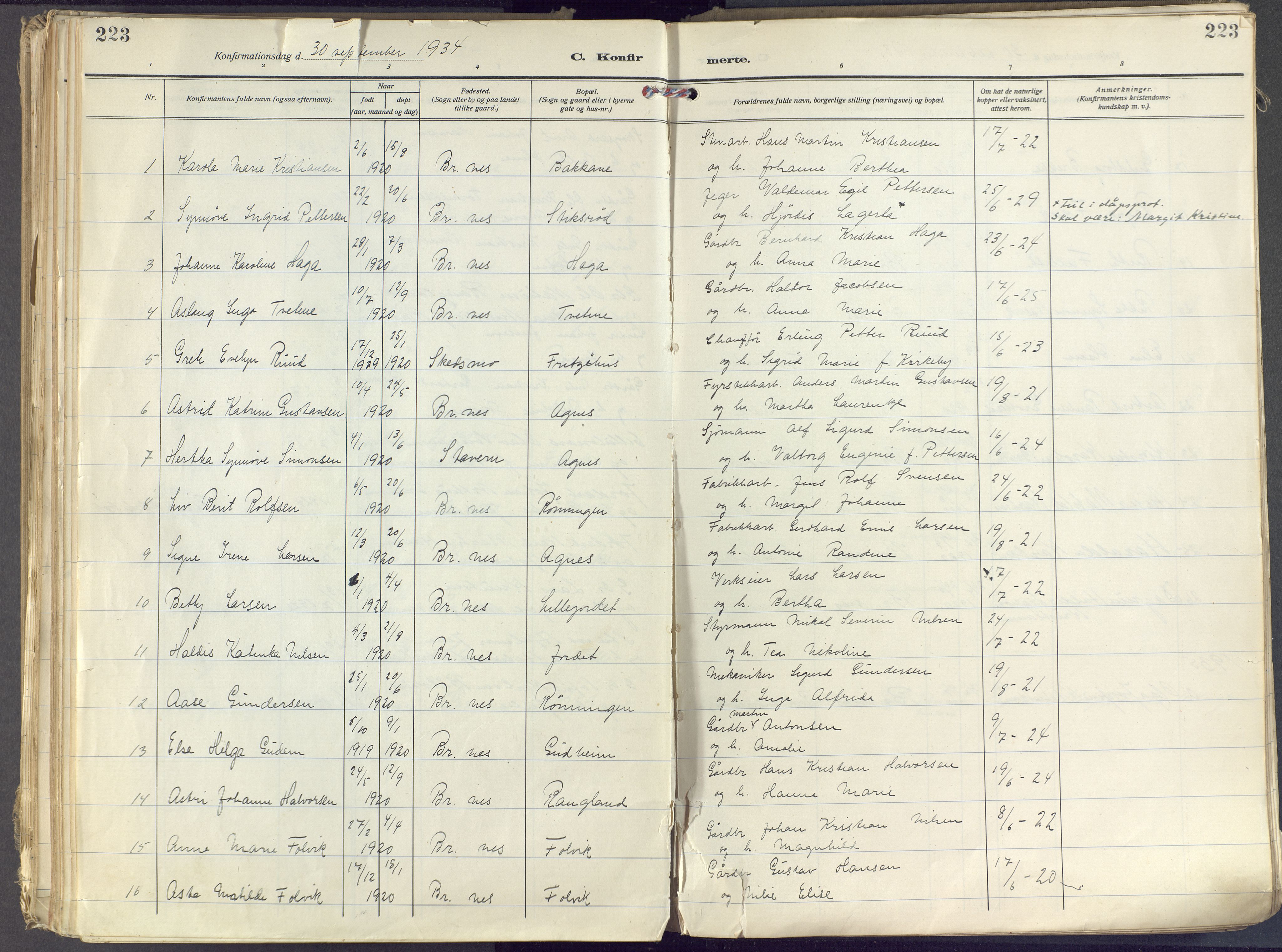 Brunlanes kirkebøker, AV/SAKO-A-342/F/Fc/L0004: Parish register (official) no. III 4, 1923-1943, p. 223