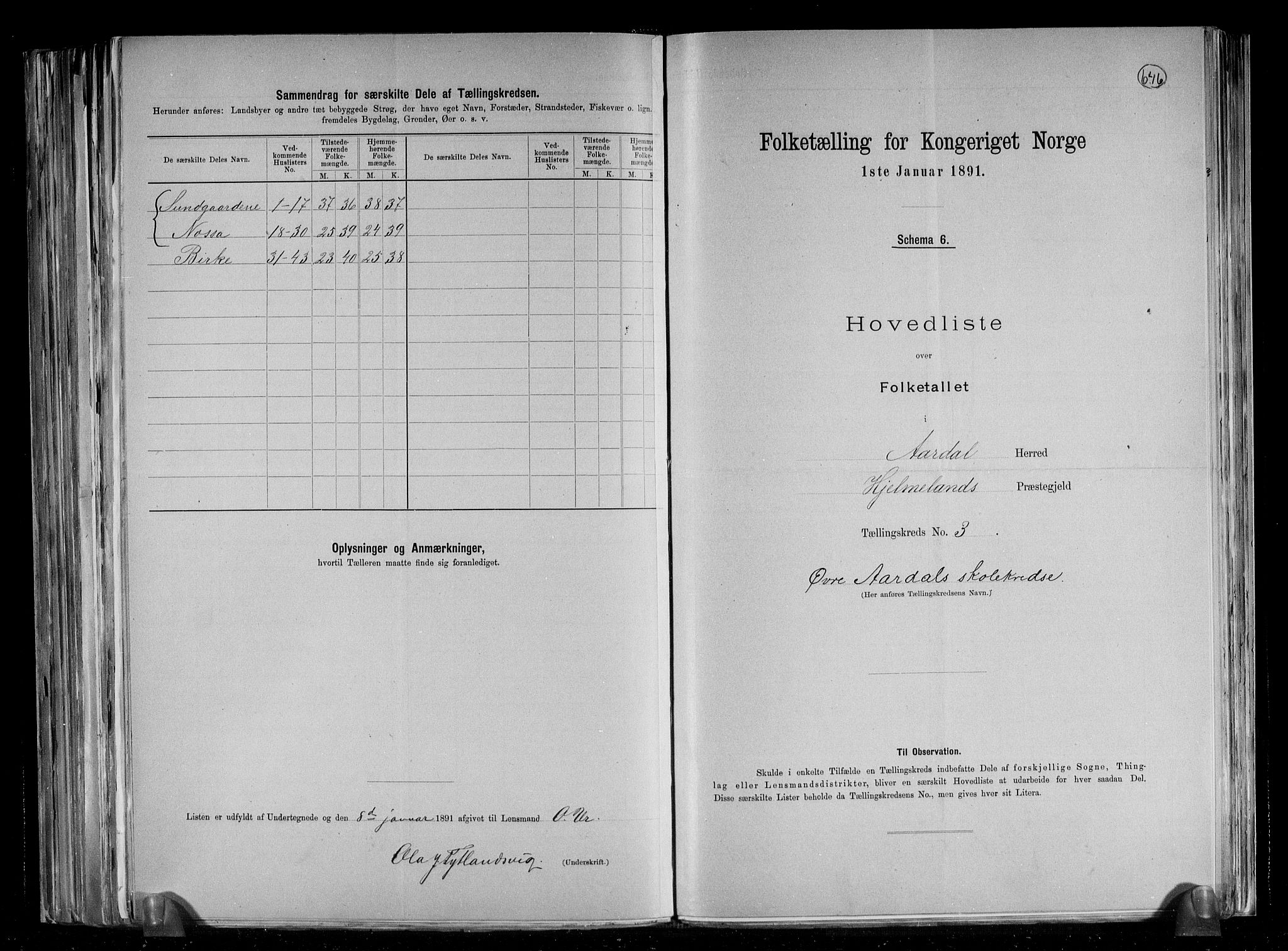 RA, 1891 census for 1131 Årdal, 1891, p. 8