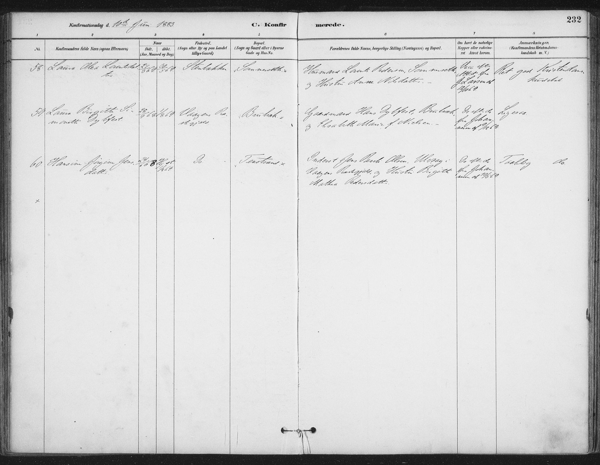 Ministerialprotokoller, klokkerbøker og fødselsregistre - Nordland, AV/SAT-A-1459/888/L1244: Parish register (official) no. 888A10, 1880-1890, p. 232