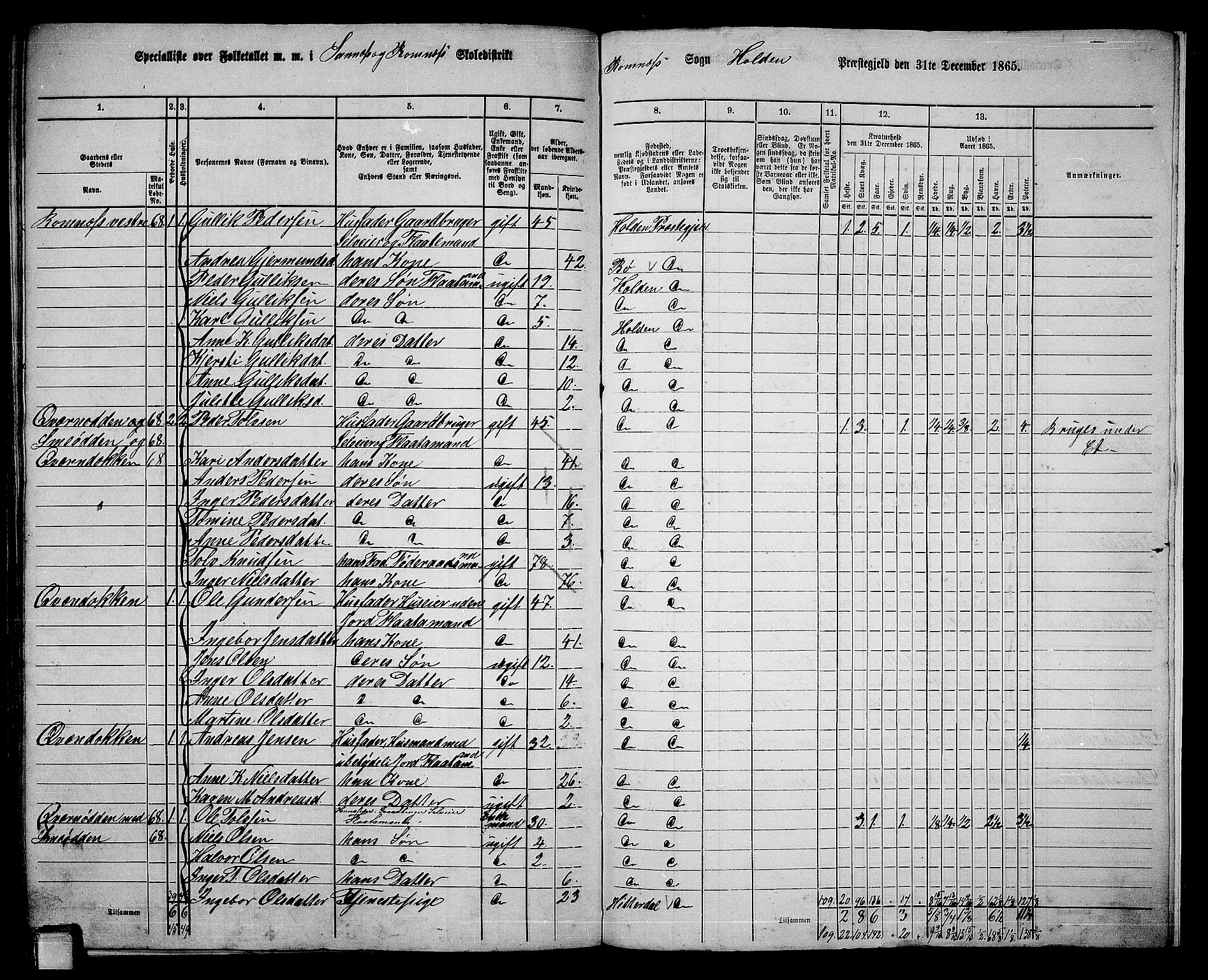 RA, 1865 census for Holla, 1865, p. 153