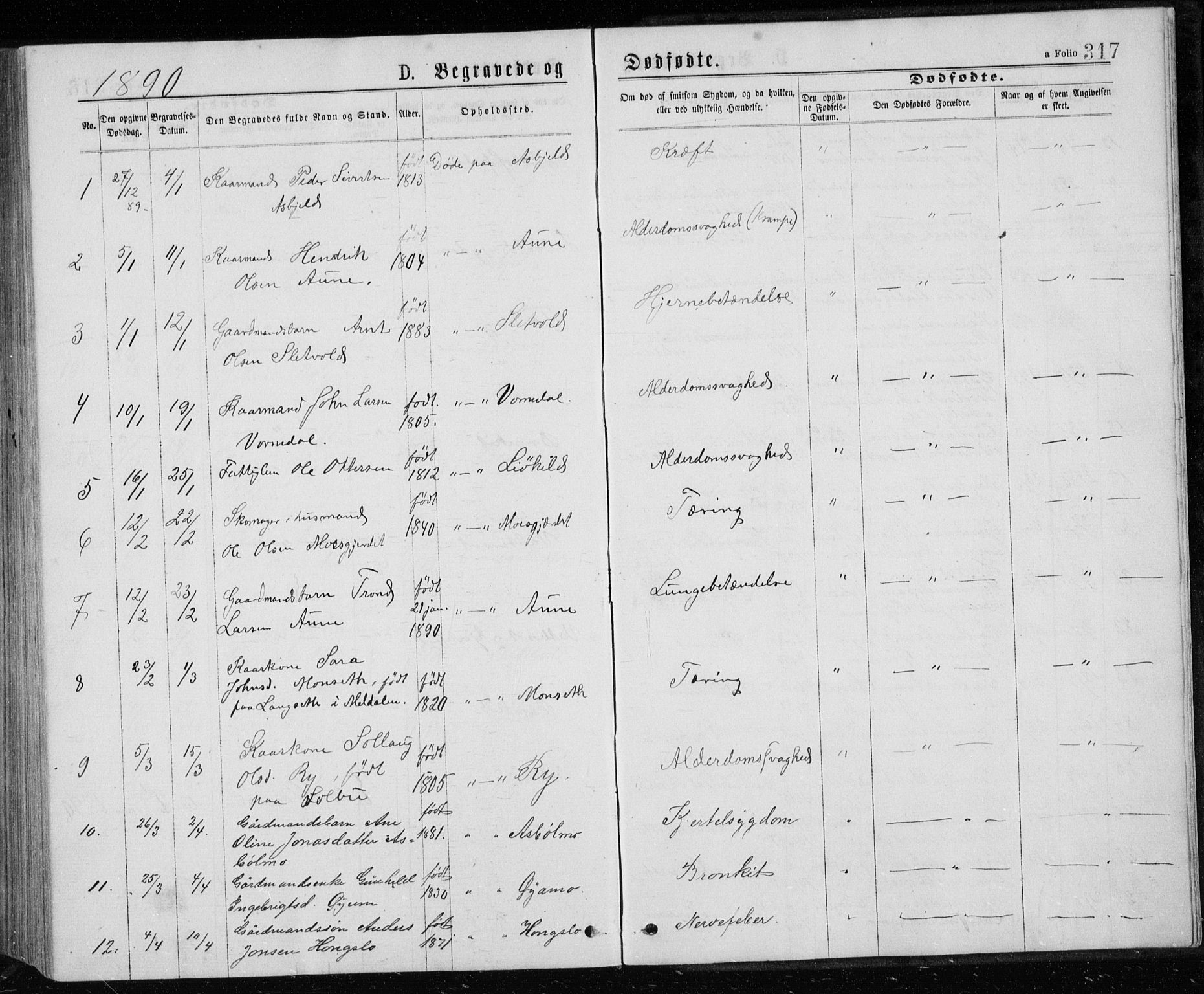 Ministerialprotokoller, klokkerbøker og fødselsregistre - Sør-Trøndelag, SAT/A-1456/671/L0843: Parish register (copy) no. 671C02, 1873-1892, p. 317