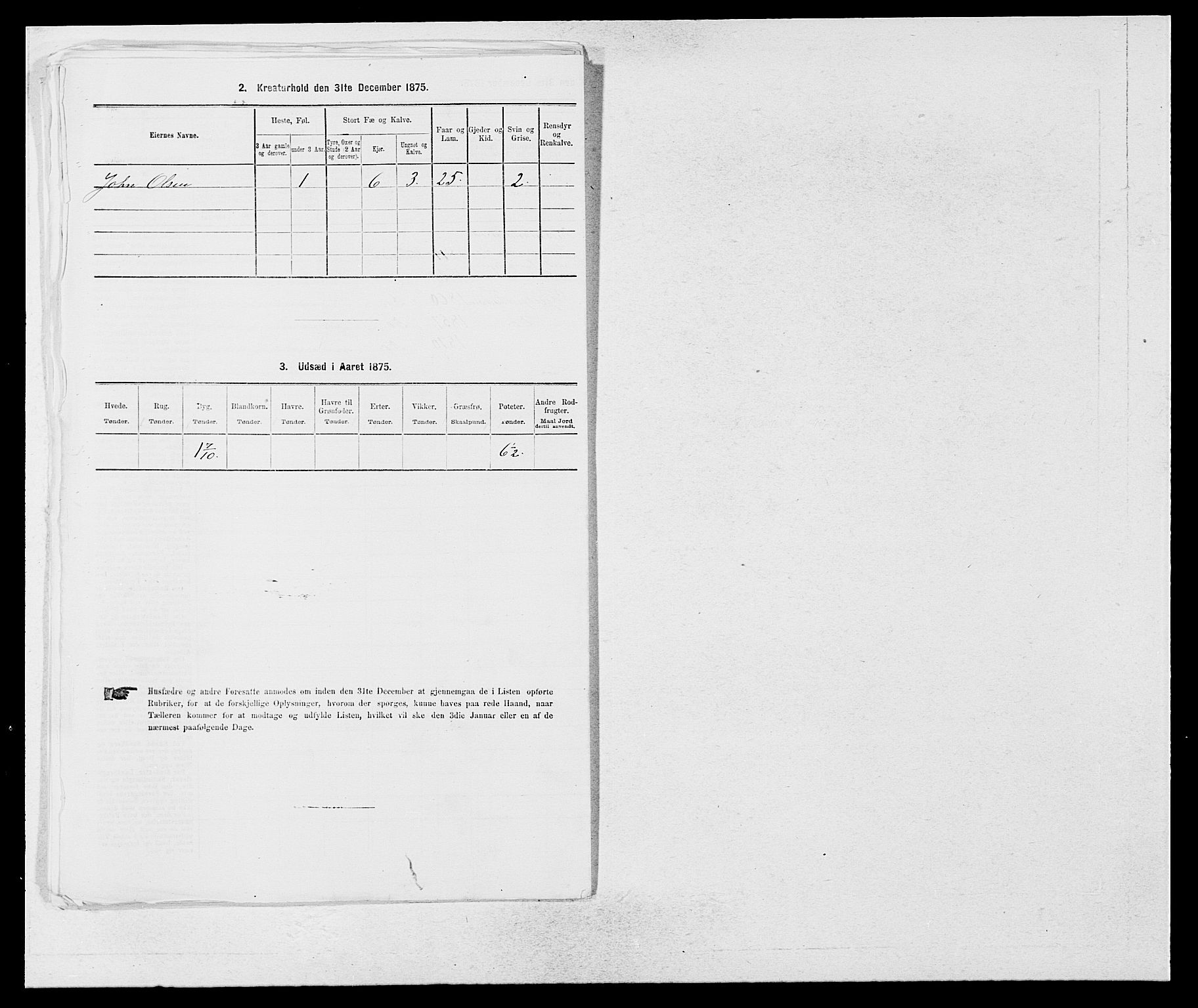 SAB, 1875 census for 1420P Sogndal, 1875, p. 1174