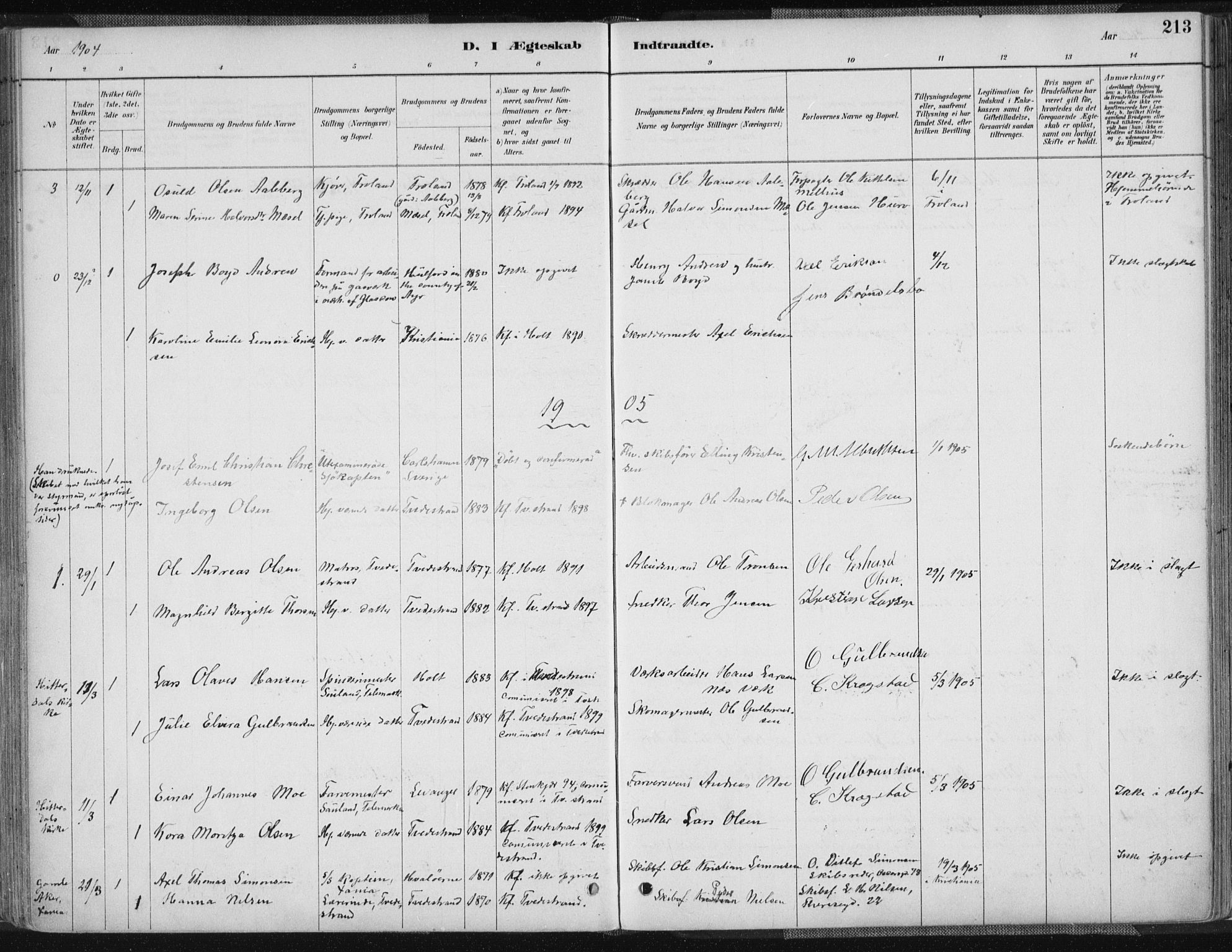 Tvedestrand sokneprestkontor, SAK/1111-0042/F/Fa/L0001: Parish register (official) no. A 1, 1885-1916, p. 213
