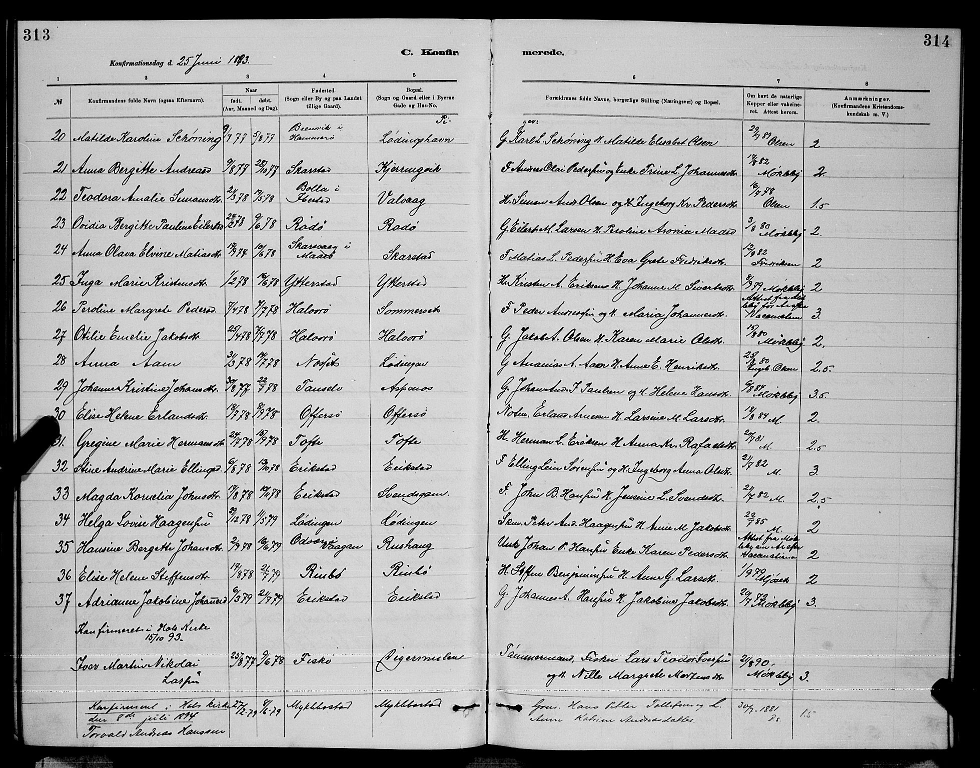 Ministerialprotokoller, klokkerbøker og fødselsregistre - Nordland, AV/SAT-A-1459/872/L1047: Parish register (copy) no. 872C03, 1880-1897, p. 313-314