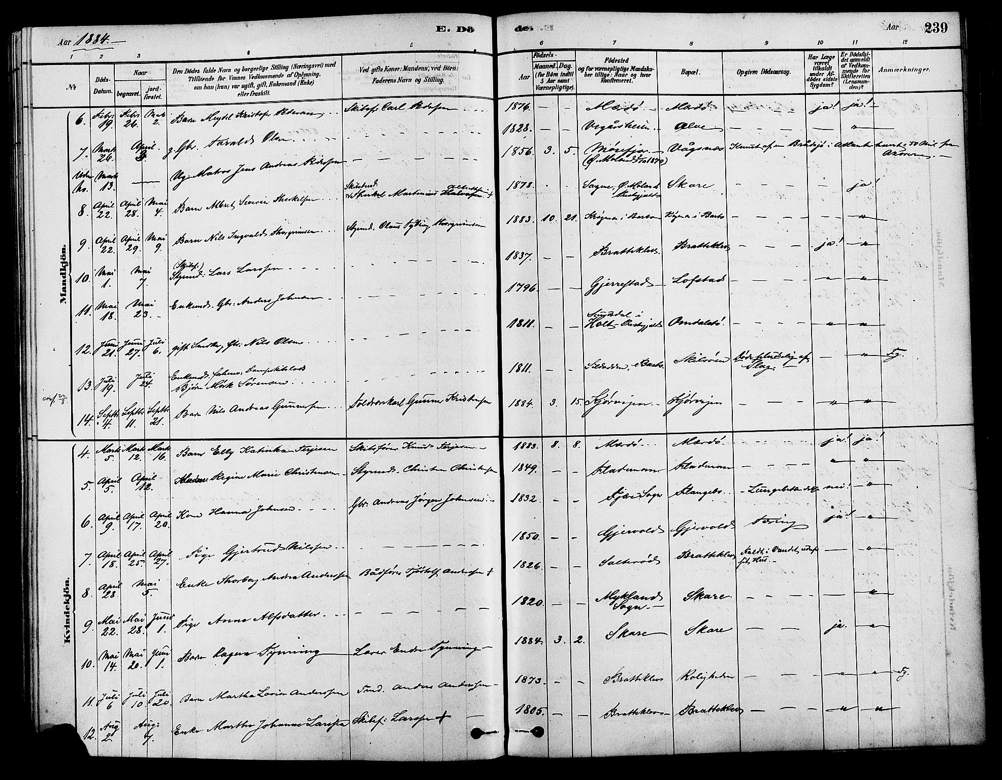 Tromøy sokneprestkontor, AV/SAK-1111-0041/F/Fa/L0009: Parish register (official) no. A 9, 1878-1896, p. 239