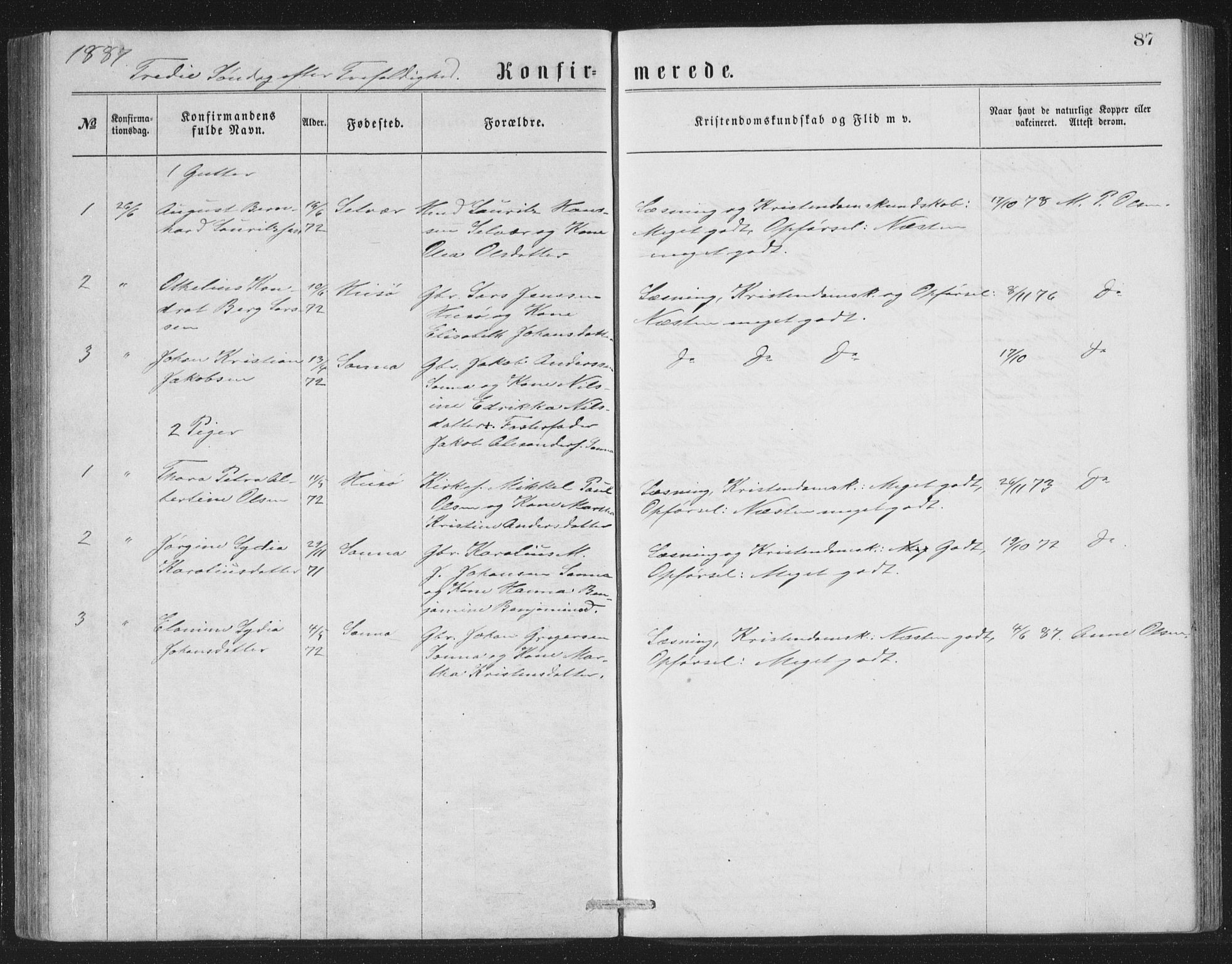 Ministerialprotokoller, klokkerbøker og fødselsregistre - Nordland, AV/SAT-A-1459/840/L0582: Parish register (copy) no. 840C02, 1874-1900, p. 87