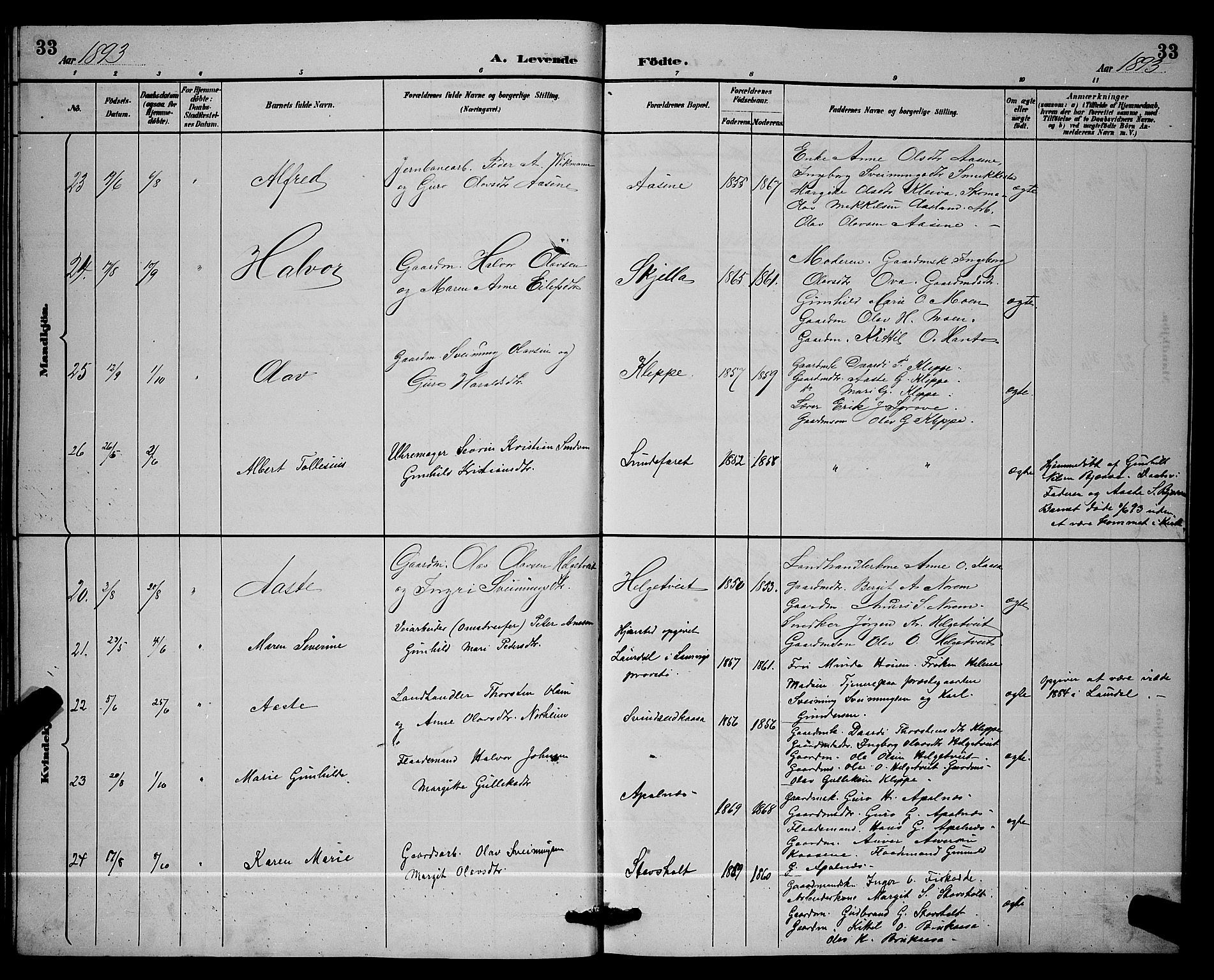 Lunde kirkebøker, AV/SAKO-A-282/G/Ga/L0002: Parish register (copy) no. I 2, 1887-1896, p. 33