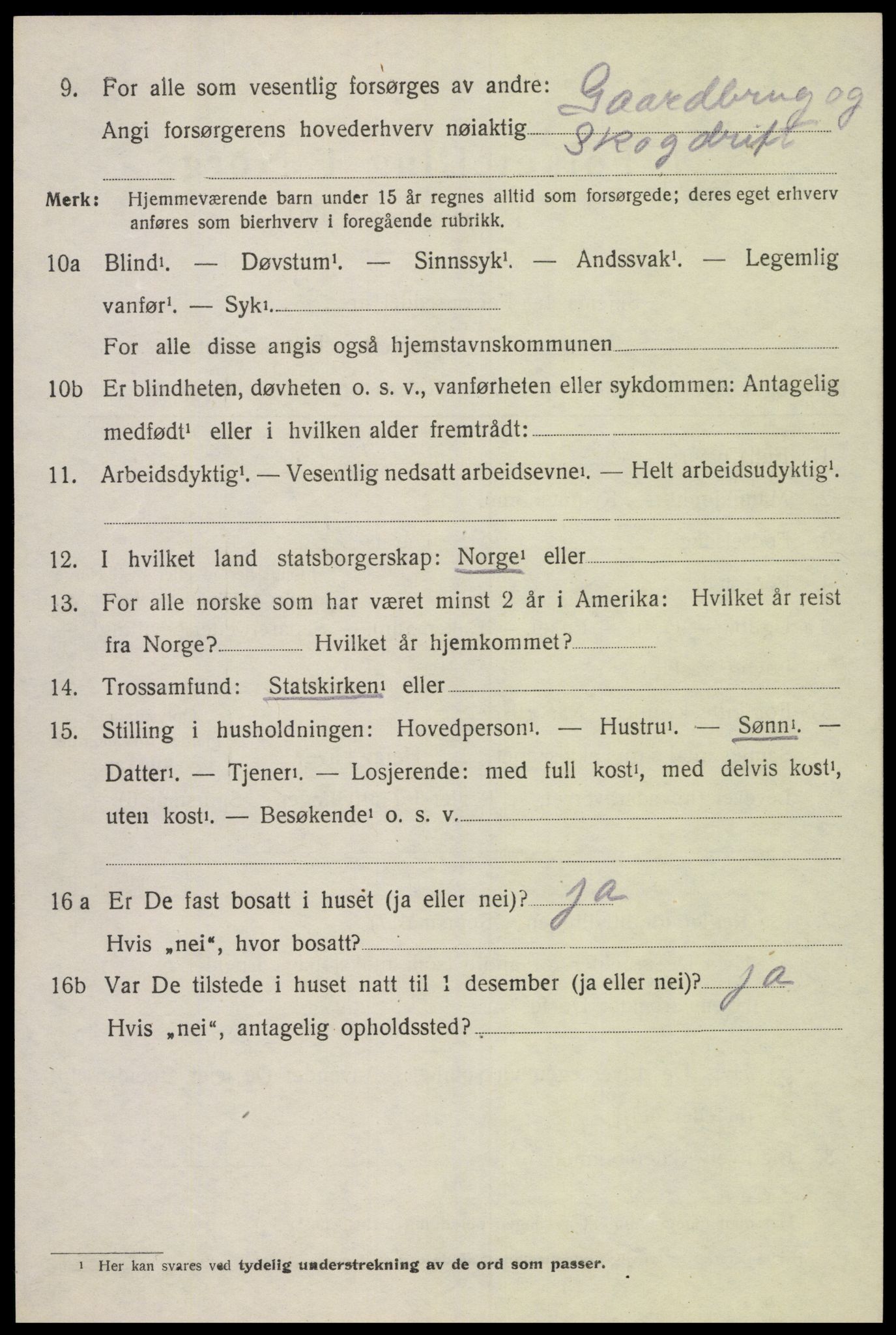 SAK, 1920 census for Holum, 1920, p. 2078