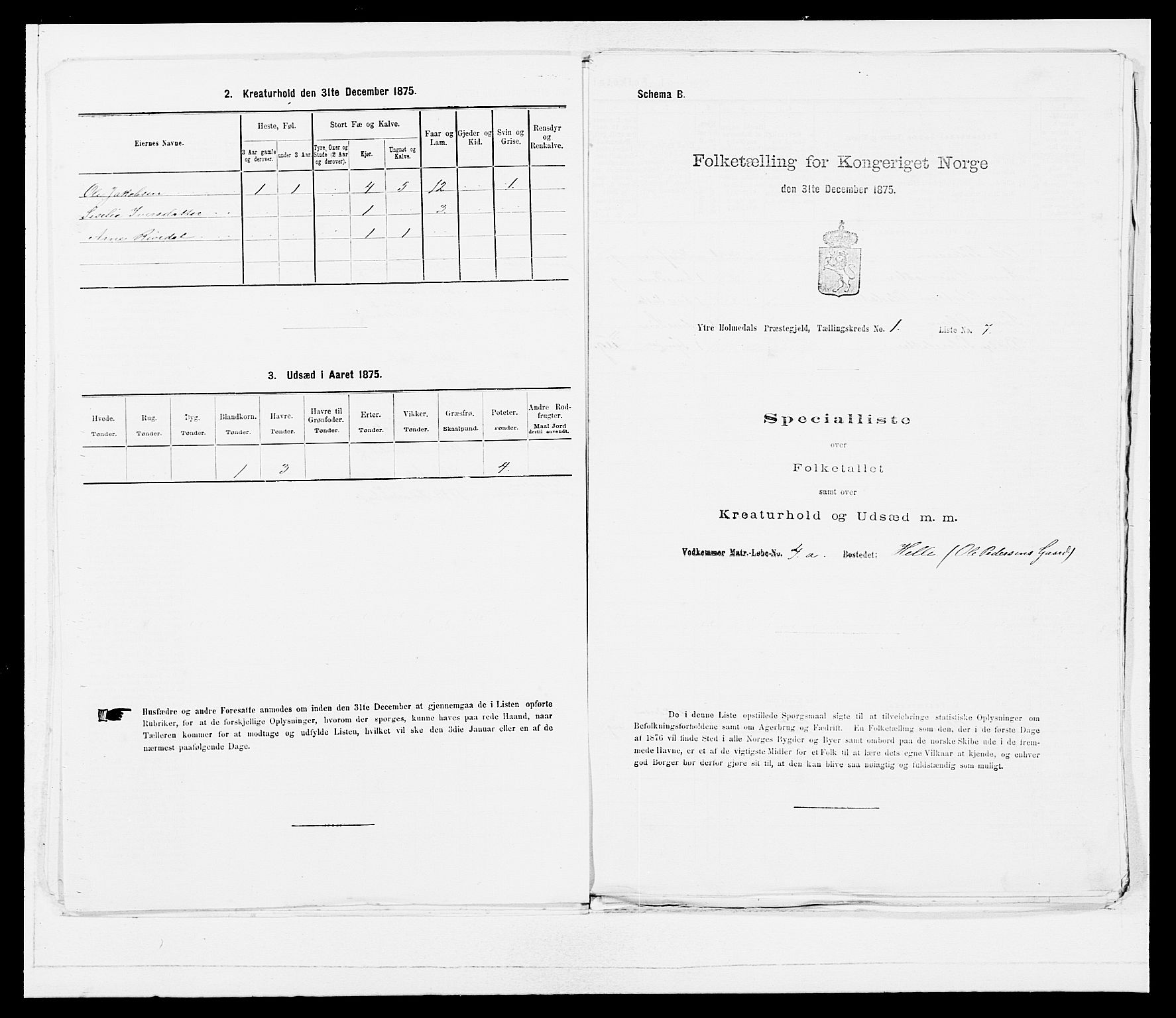 SAB, 1875 census for 1429P Ytre Holmedal, 1875, p. 61