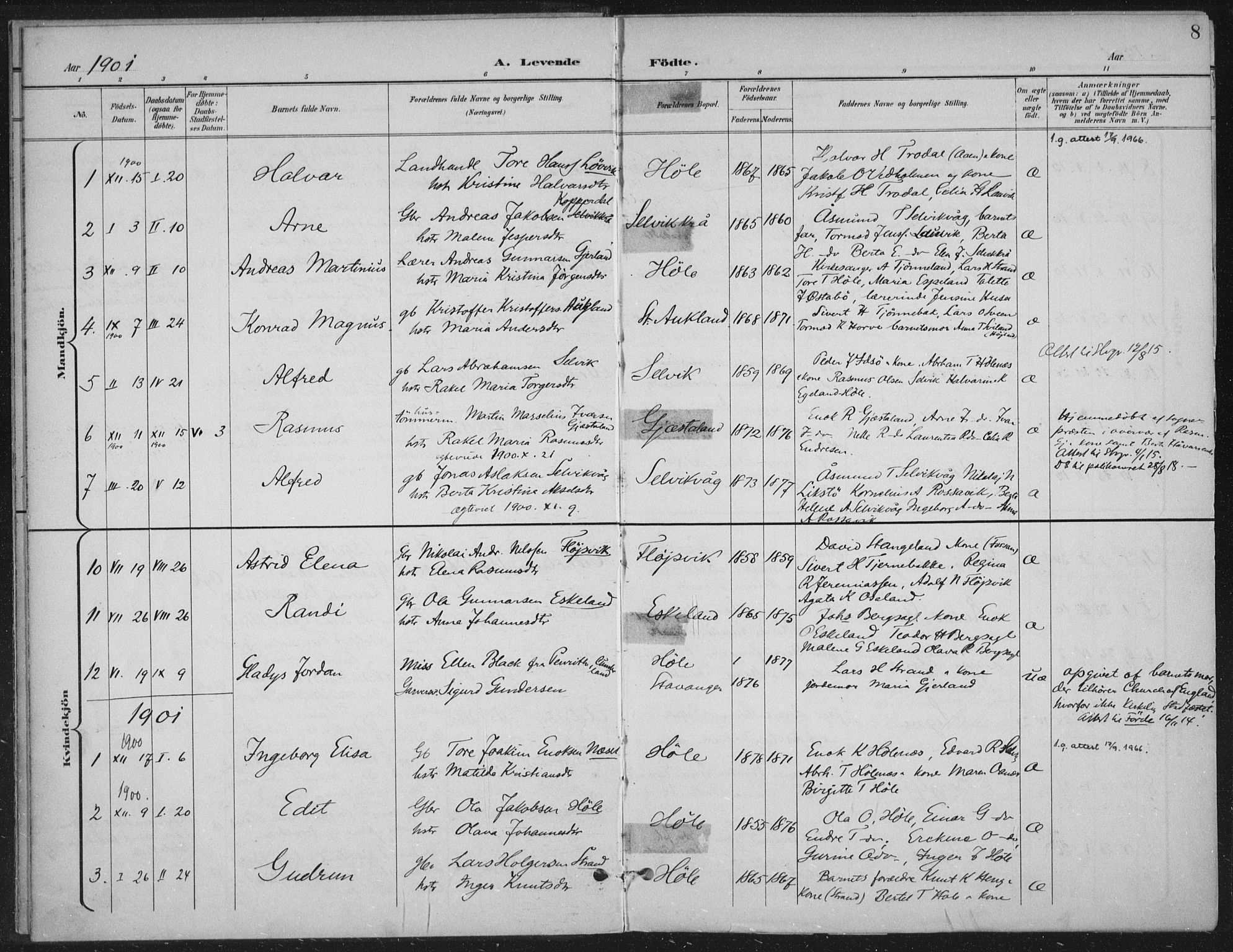 Høgsfjord sokneprestkontor, AV/SAST-A-101624/H/Ha/Haa/L0008: Parish register (official) no. A 8, 1898-1920, p. 8