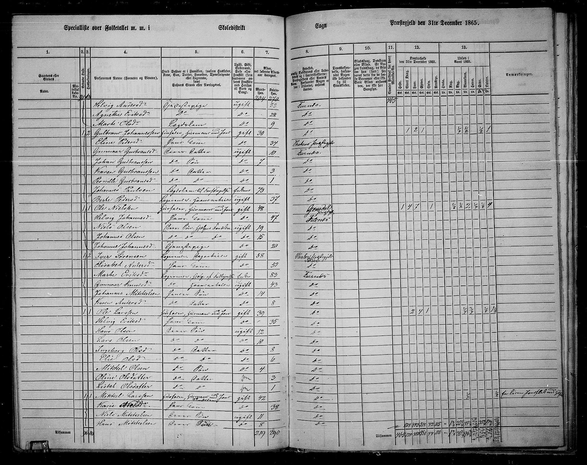 RA, 1865 census for Vang/Vang og Furnes, 1865, p. 106