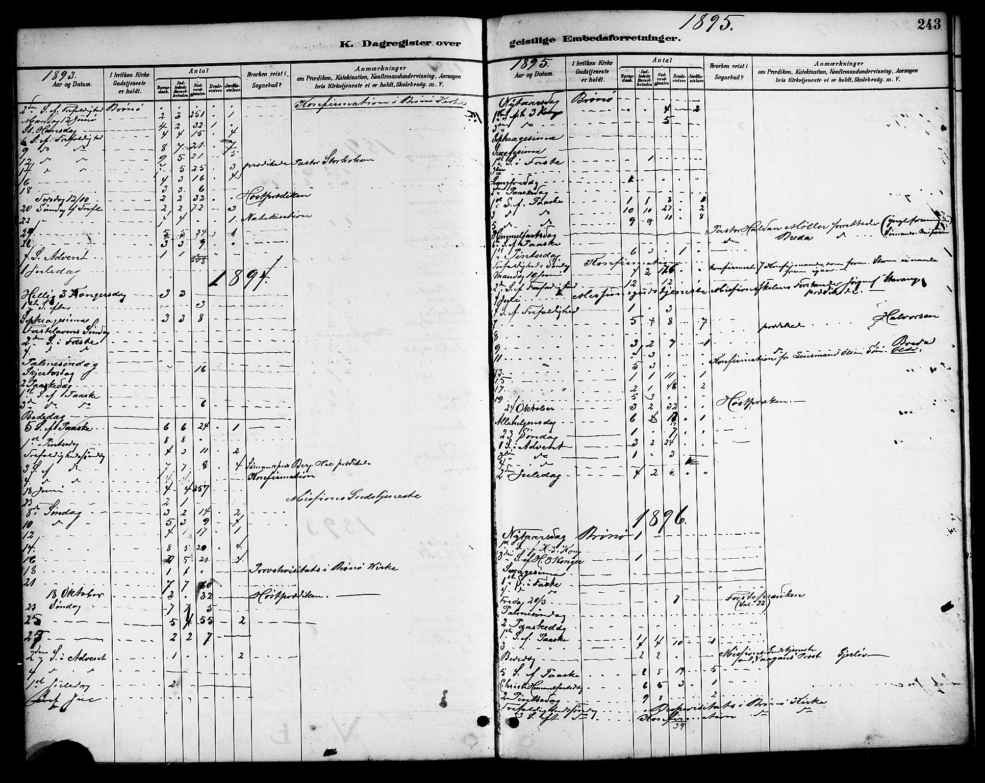 Ministerialprotokoller, klokkerbøker og fødselsregistre - Nordland, AV/SAT-A-1459/813/L0213: Parish register (copy) no. 813C05, 1887-1903, p. 243