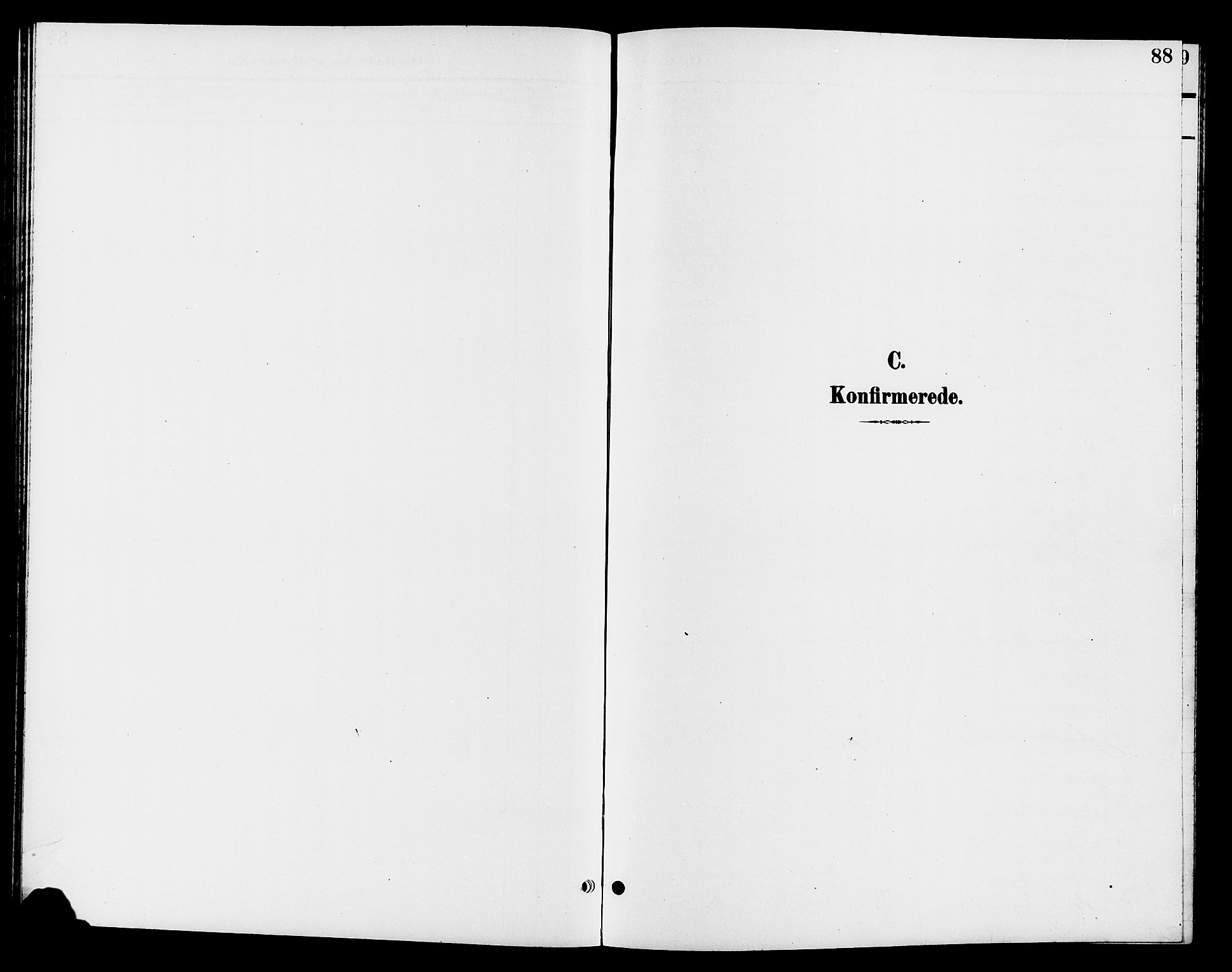 Jevnaker prestekontor, SAH/PREST-116/H/Ha/Hab/L0003: Parish register (copy) no. 3, 1896-1909, p. 88
