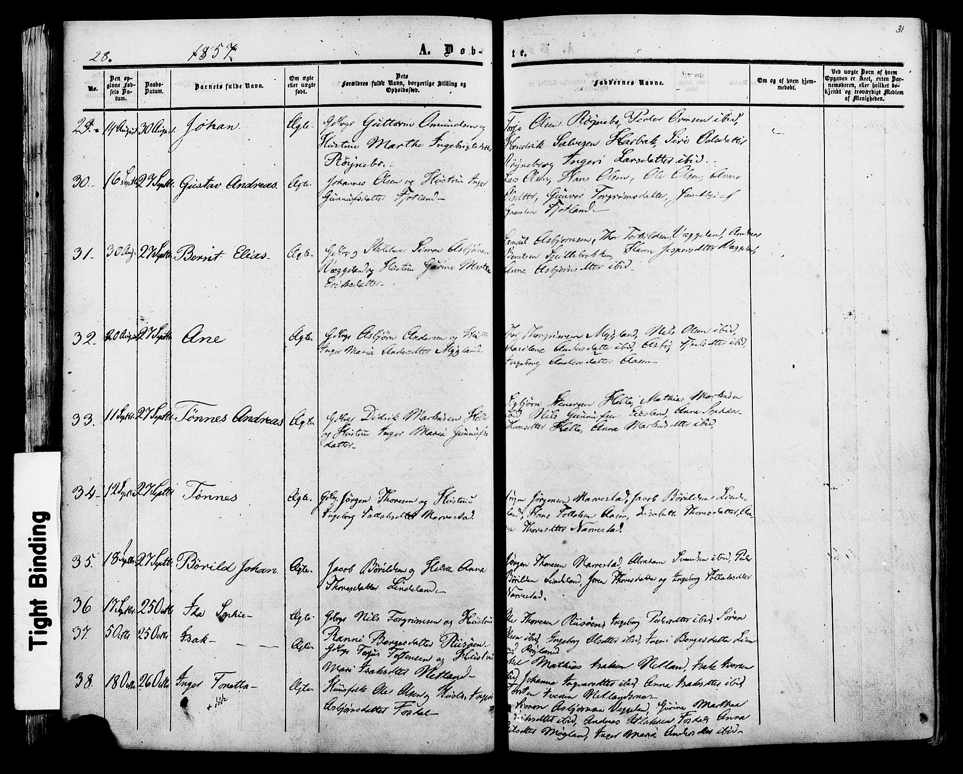 Fjotland sokneprestkontor, AV/SAK-1111-0010/F/Fa/L0001: Parish register (official) no. A 1, 1850-1879, p. 31