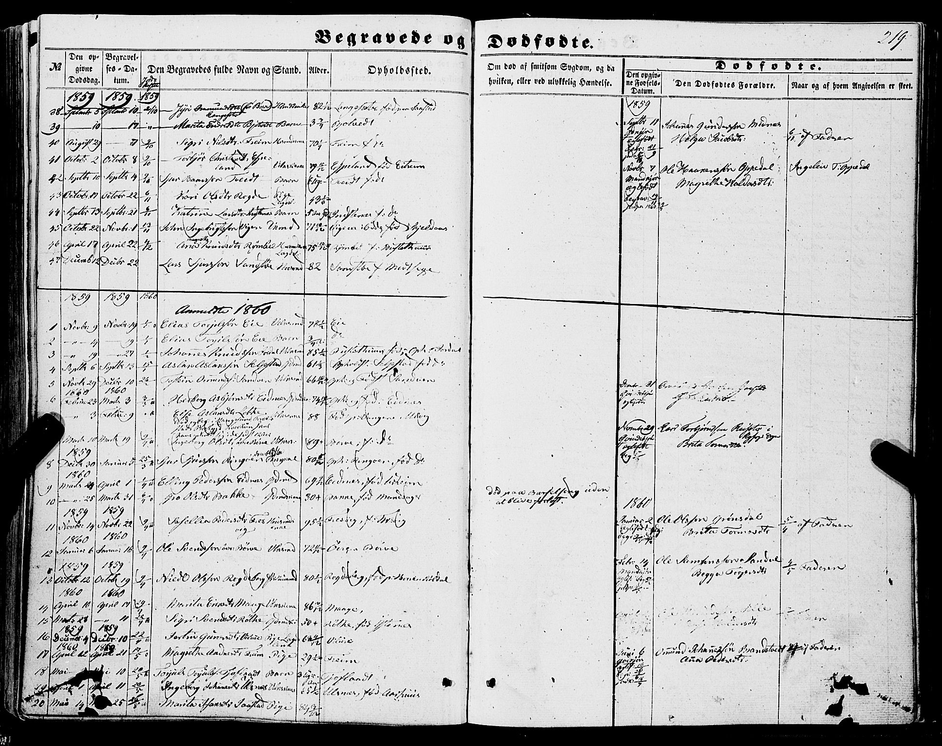 Ullensvang sokneprestembete, AV/SAB-A-78701/H/Haa: Parish register (official) no. A 11, 1854-1866, p. 219