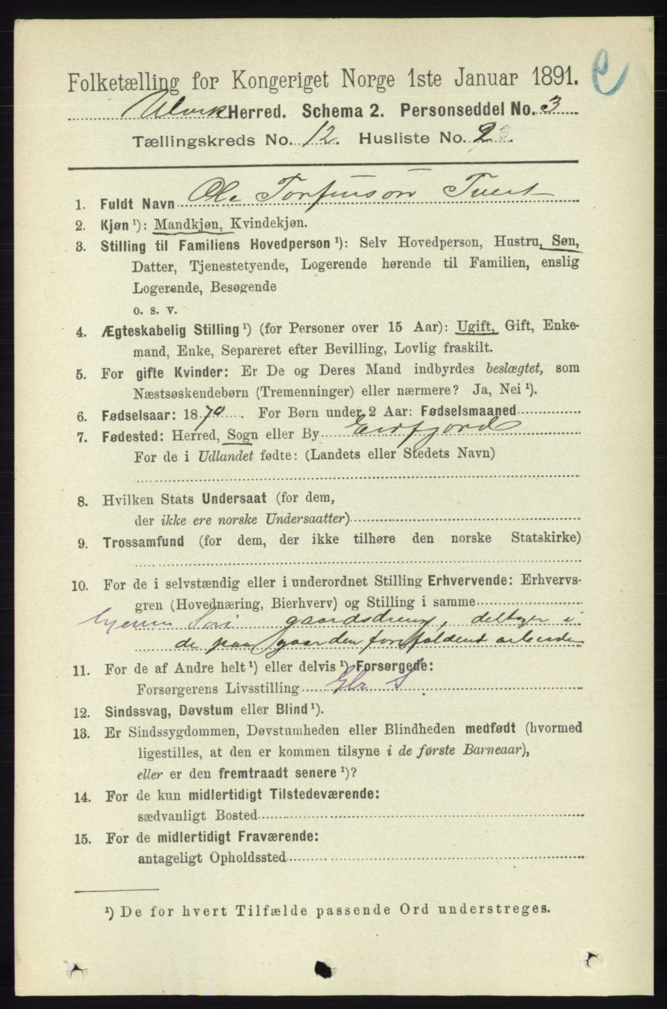 RA, 1891 census for 1233 Ulvik, 1891, p. 3648