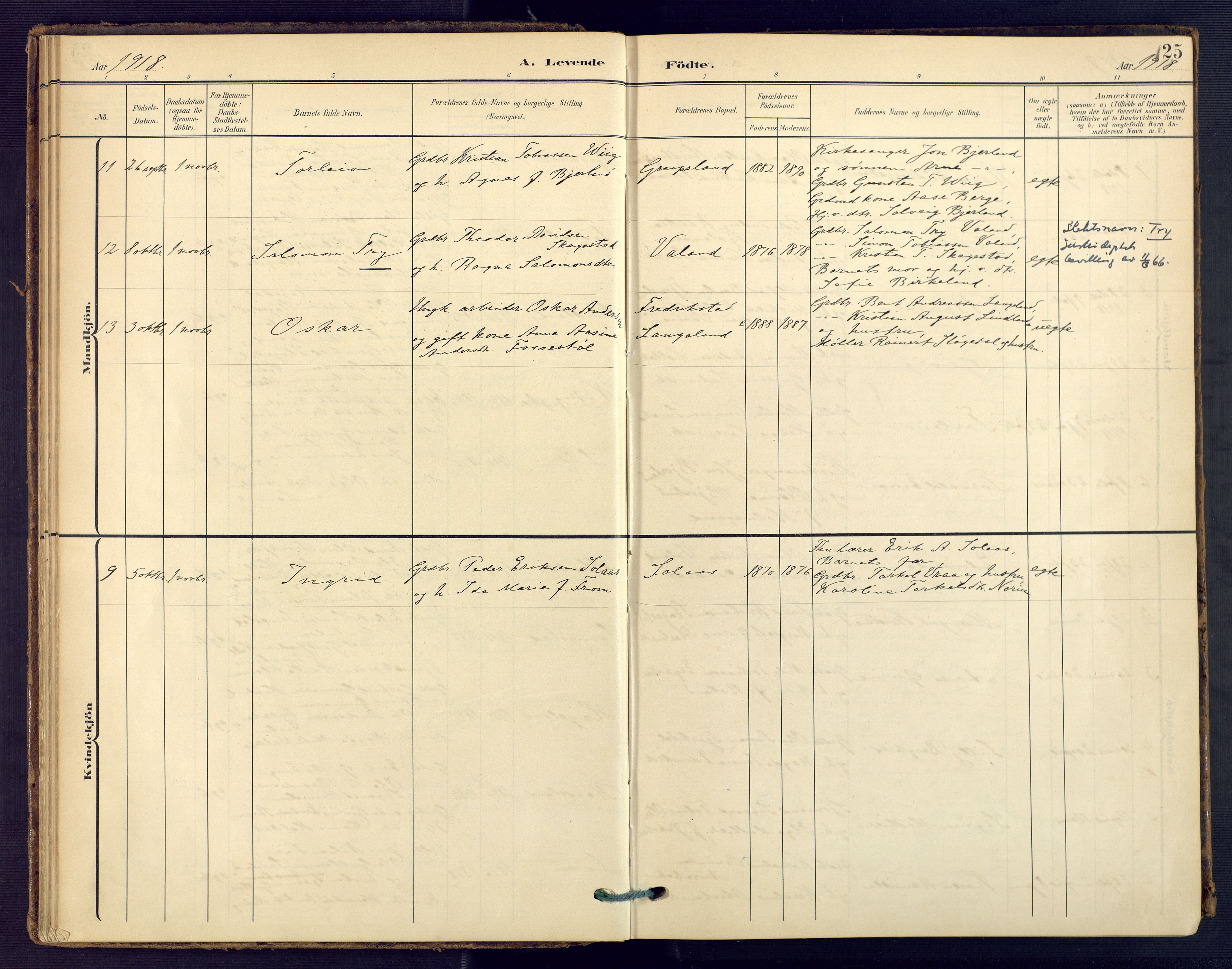Holum sokneprestkontor, SAK/1111-0022/F/Fa/Faa/L0008: Parish register (official) no. A 8, 1908-1929, p. 25