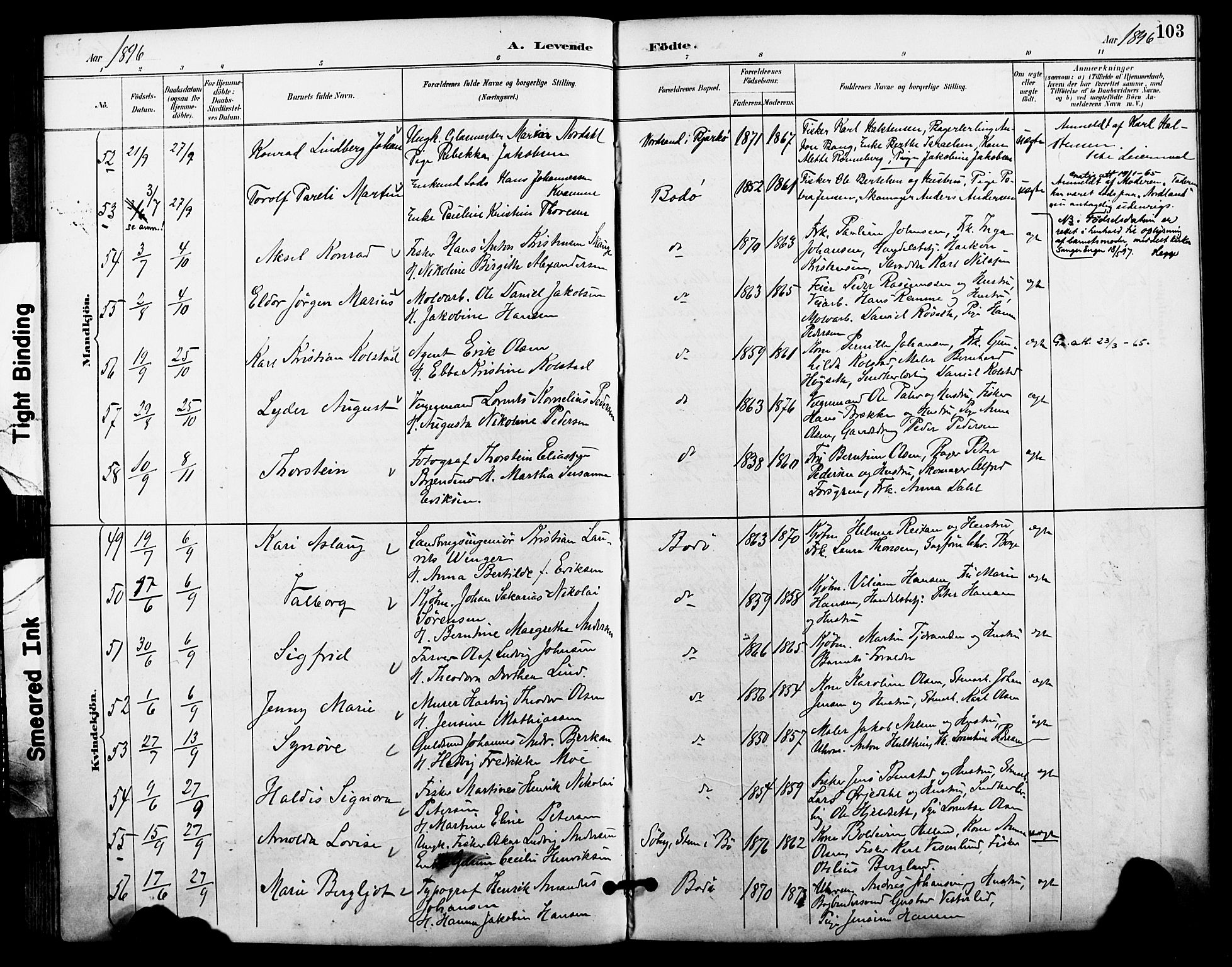 Ministerialprotokoller, klokkerbøker og fødselsregistre - Nordland, AV/SAT-A-1459/801/L0010: Parish register (official) no. 801A10, 1888-1899, p. 103