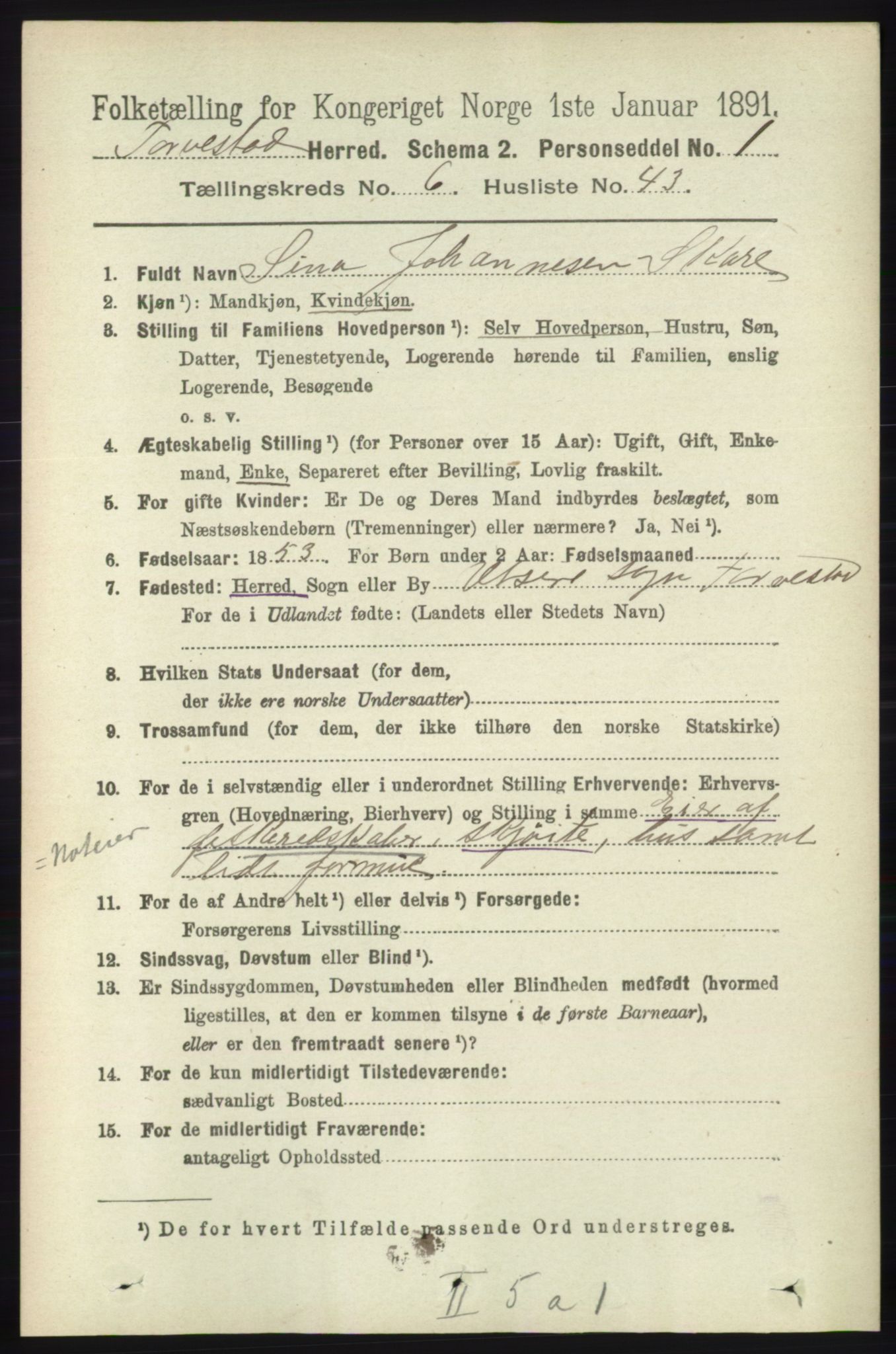 RA, 1891 census for 1152 Torvastad, 1891, p. 2195