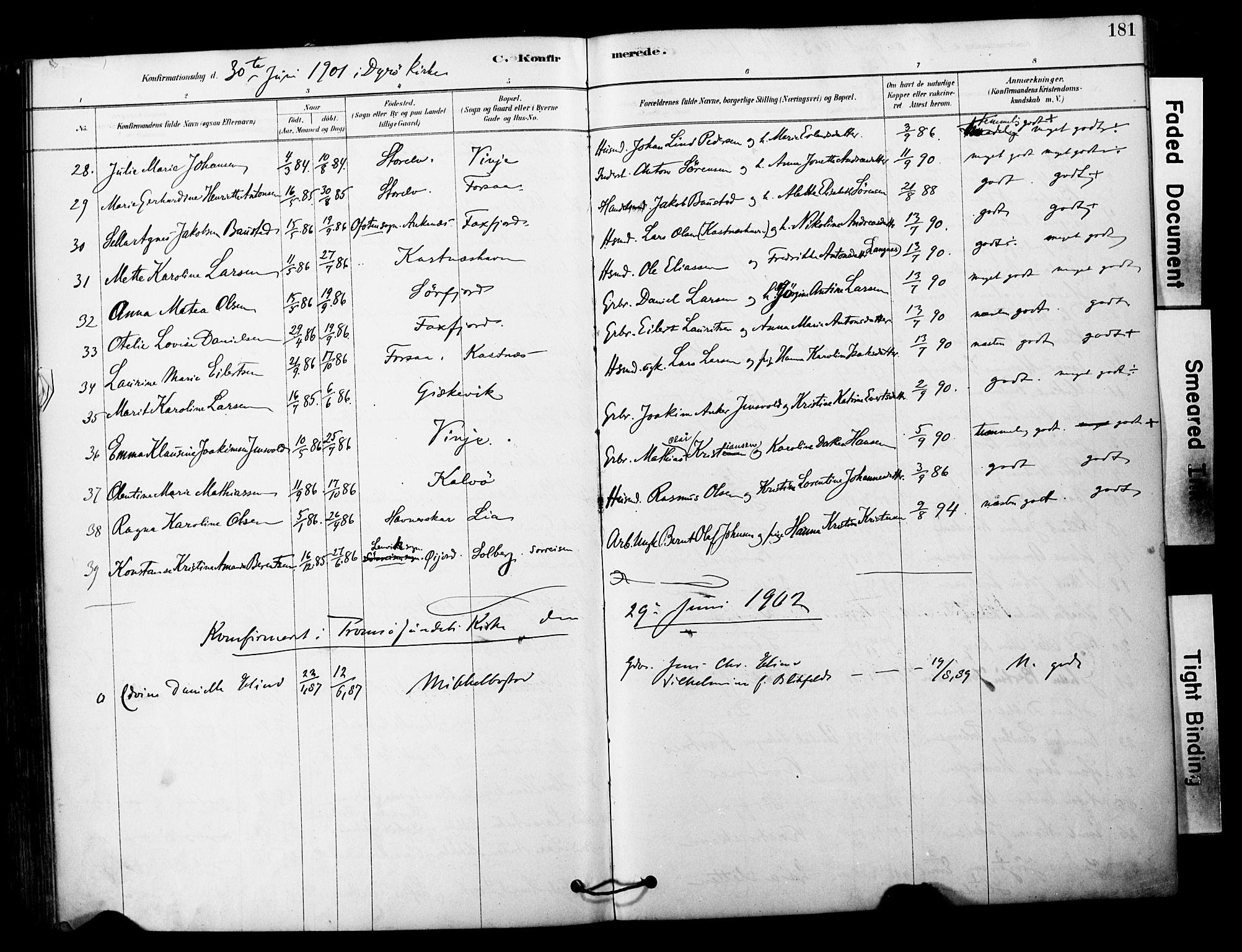 Tranøy sokneprestkontor, SATØ/S-1313/I/Ia/Iaa/L0011kirke: Parish register (official) no. 11, 1878-1904, p. 181