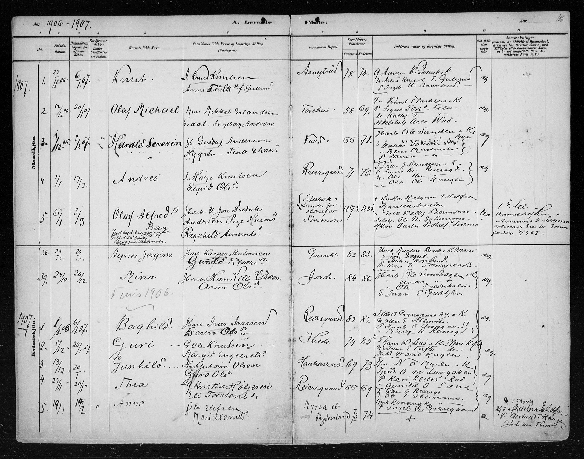 Nes kirkebøker, SAKO/A-236/F/Fa/L0012: Parish register (official) no. 12, 1881-1917, p. 106