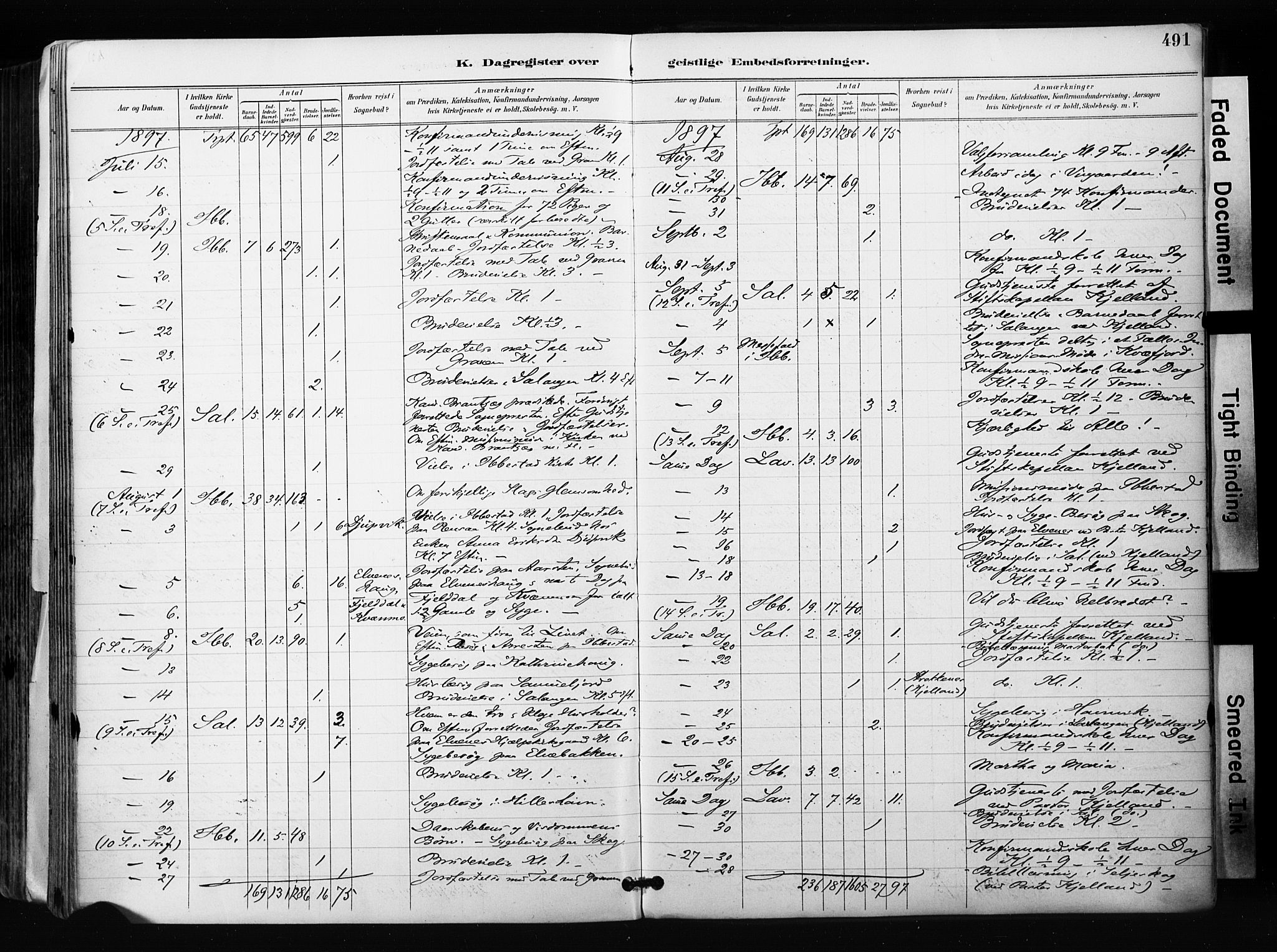 Ibestad sokneprestembete, AV/SATØ-S-0077/H/Ha/Haa/L0012kirke: Parish register (official) no. 12, 1890-1900, p. 491