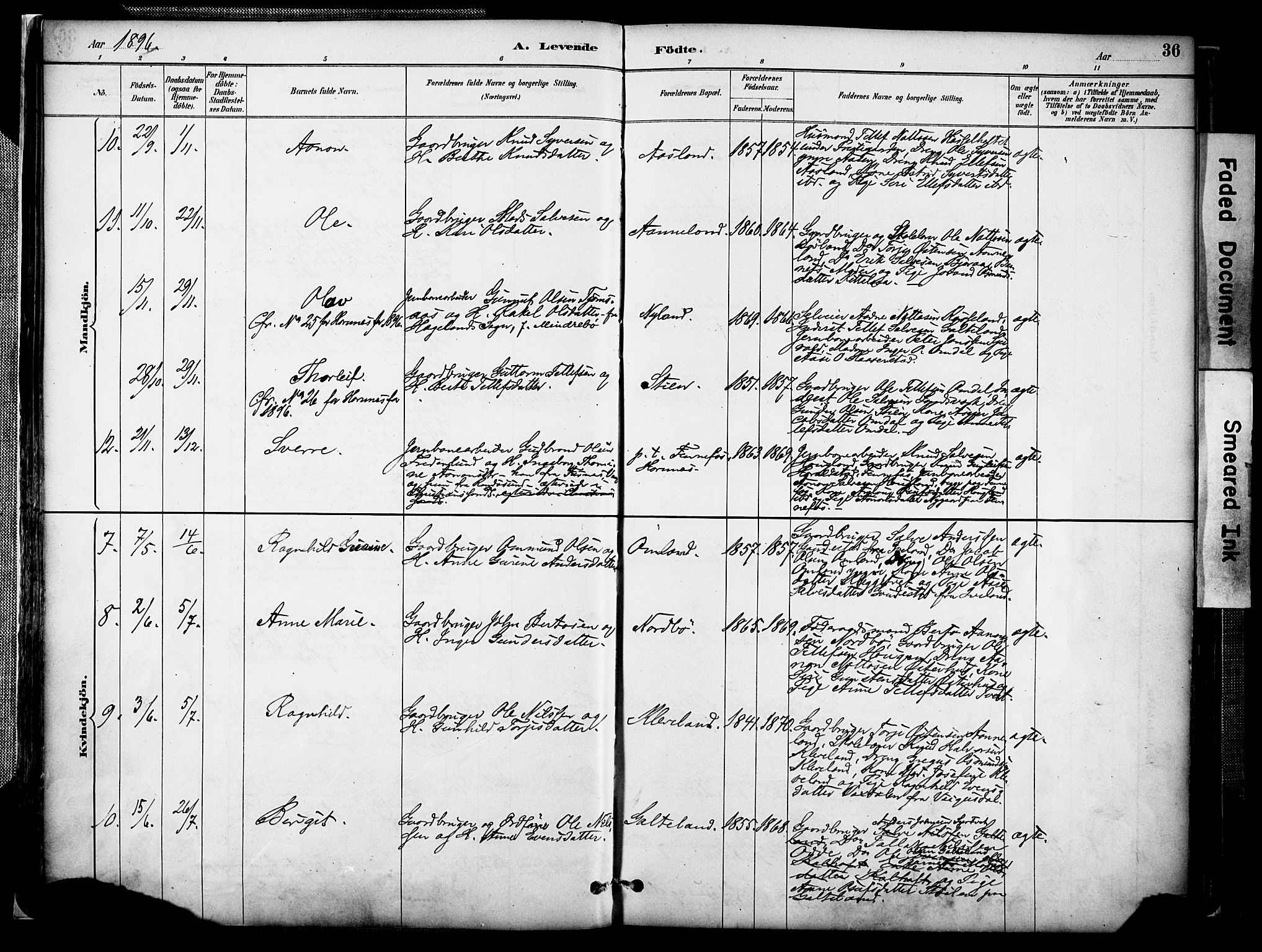 Evje sokneprestkontor, AV/SAK-1111-0008/F/Fa/Faa/L0007: Parish register (official) no. A 7, 1884-1909, p. 36