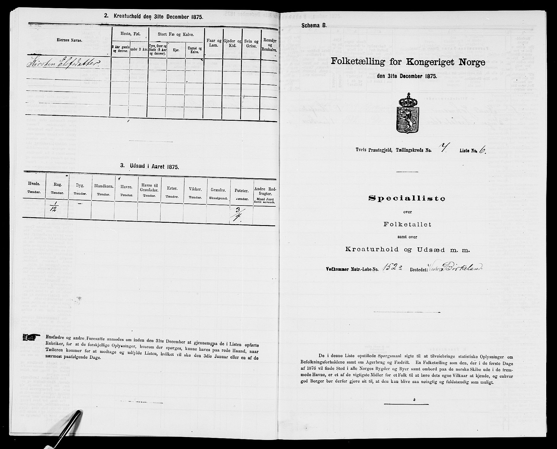 SAK, 1875 census for 1013P Tveit, 1875, p. 898