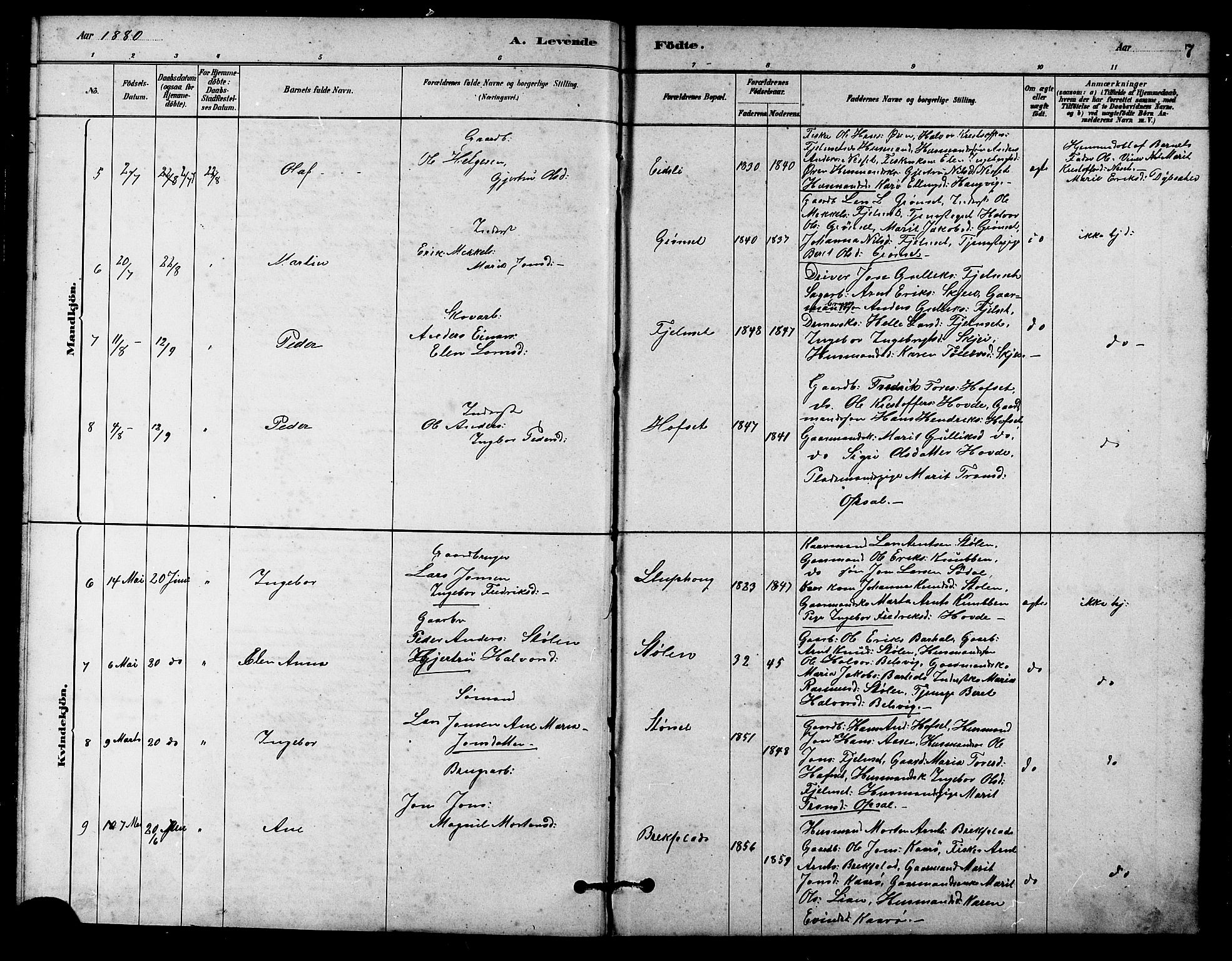 Ministerialprotokoller, klokkerbøker og fødselsregistre - Sør-Trøndelag, SAT/A-1456/631/L0514: Parish register (copy) no. 631C02, 1879-1912, p. 7