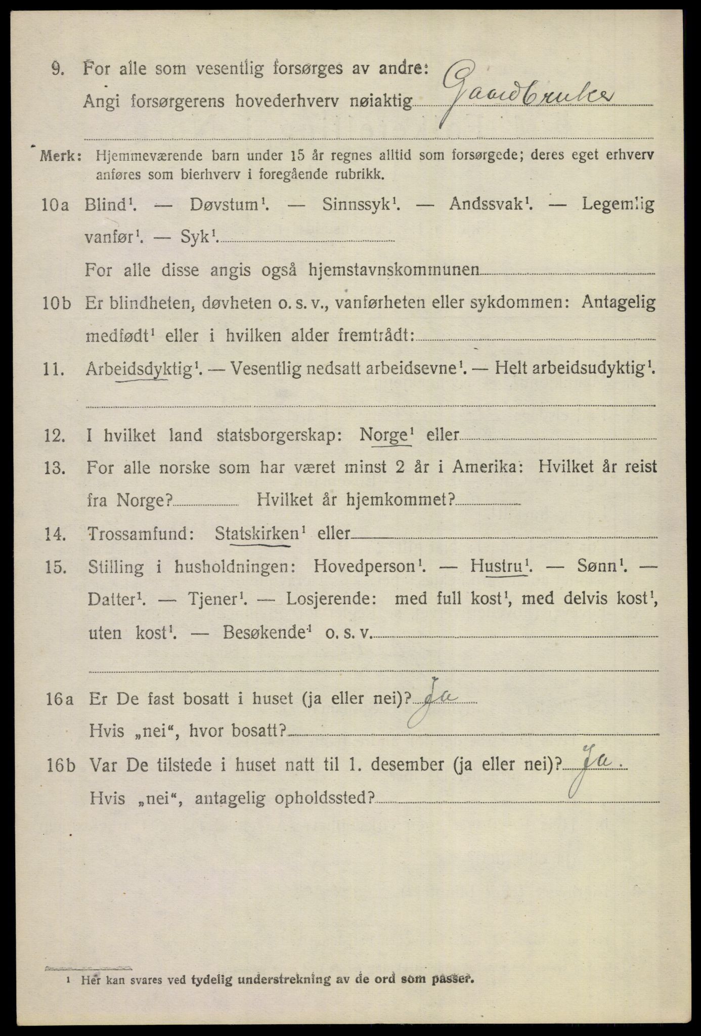 SAKO, 1920 census for Gol, 1920, p. 2193