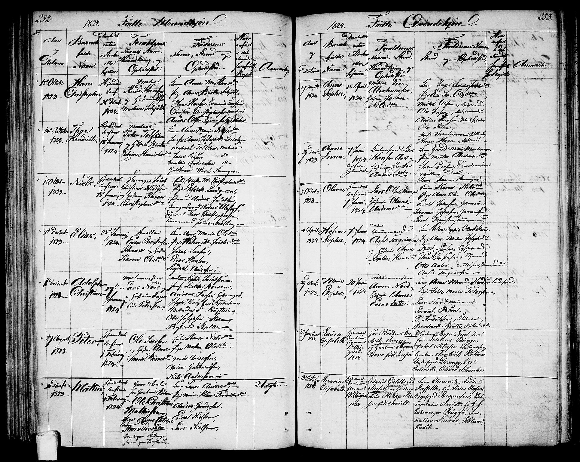 Larvik kirkebøker, SAKO/A-352/G/Ga/L0002: Parish register (copy) no. I 2, 1807-1830, p. 252-253