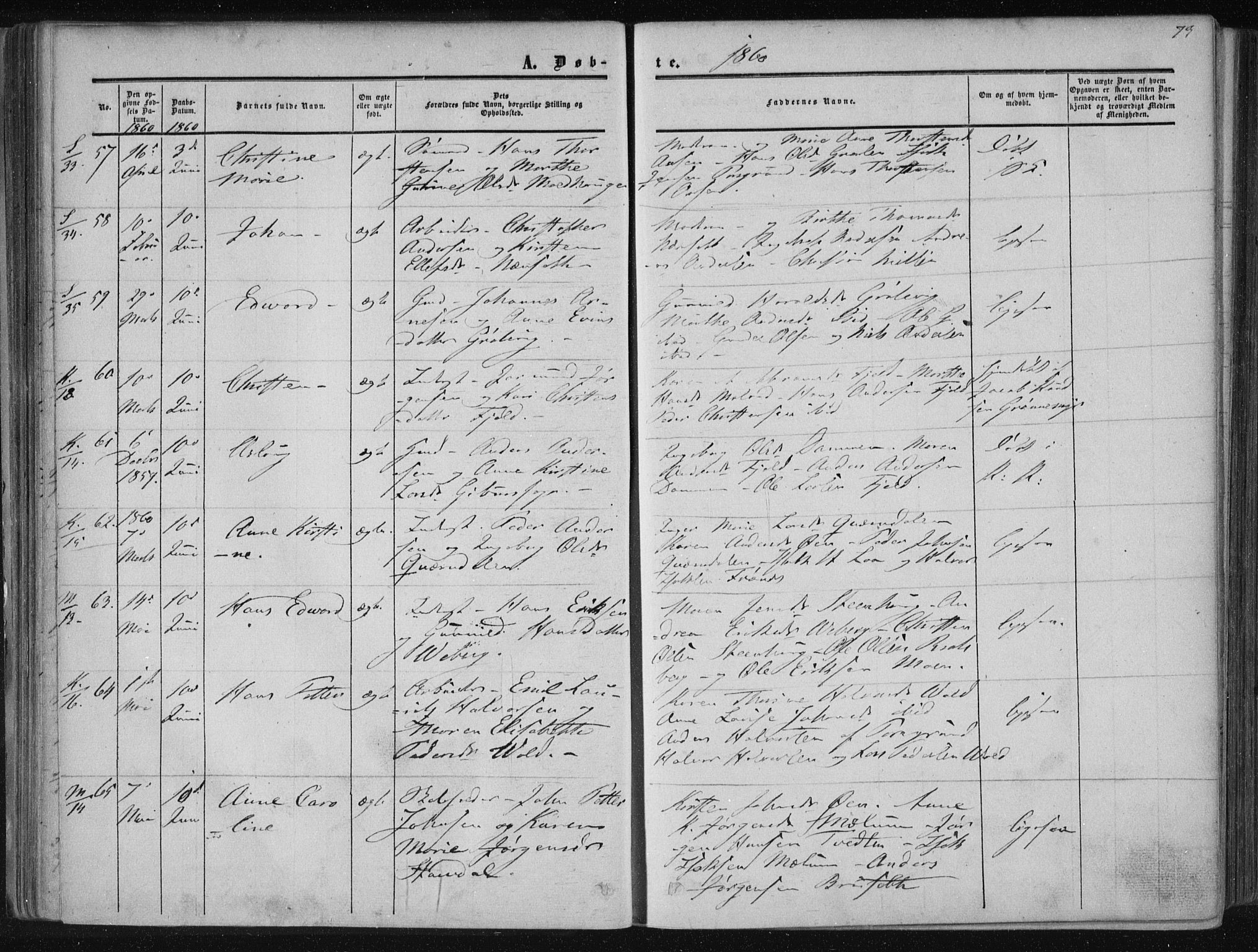 Solum kirkebøker, AV/SAKO-A-306/F/Fa/L0007: Parish register (official) no. I 7, 1856-1864, p. 73