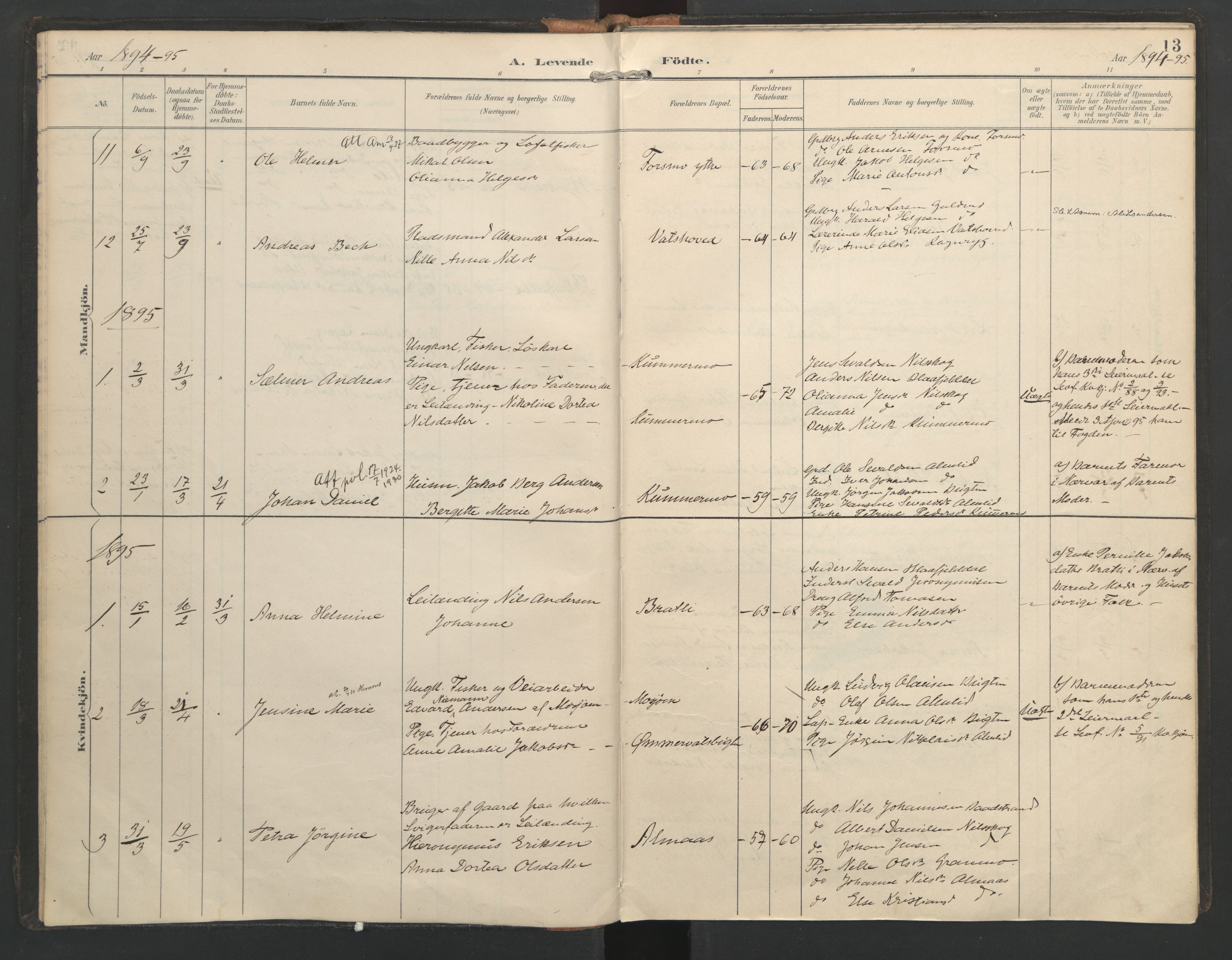 Ministerialprotokoller, klokkerbøker og fødselsregistre - Nordland, SAT/A-1459/821/L0317: Parish register (official) no. 821A01, 1892-1907, p. 13
