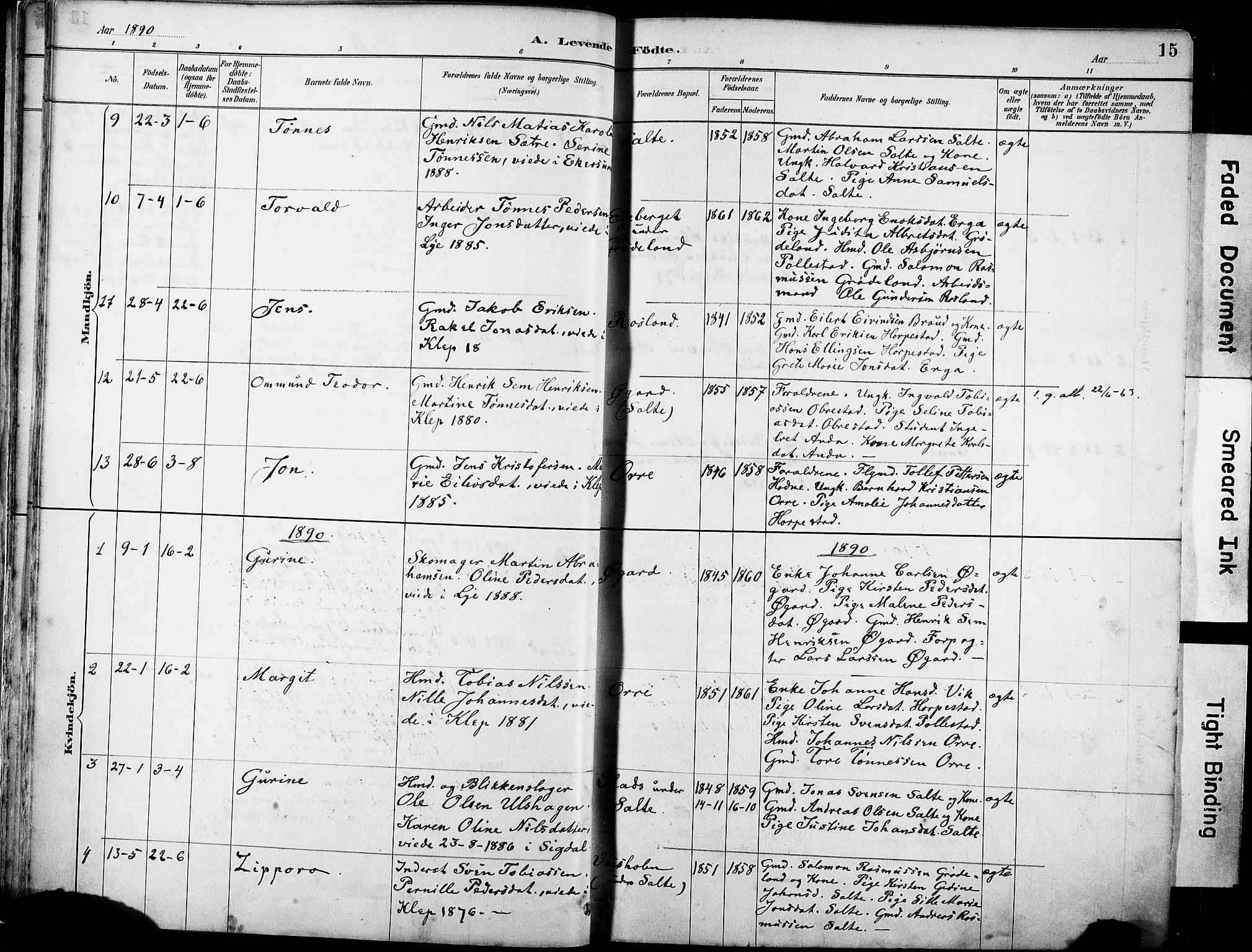 Klepp sokneprestkontor, AV/SAST-A-101803/001/3/30BA/L0007: Parish register (official) no. A 8, 1886-1912, p. 15